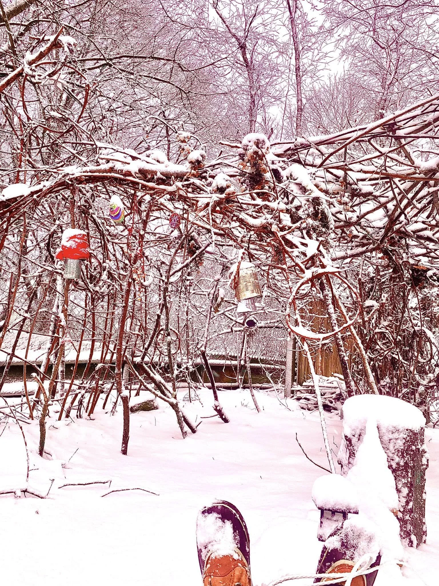 Snow-covered garden with leafless trees and bird feeders hanging from branches. A person’s boots are visible in the foreground, standing in the snow.