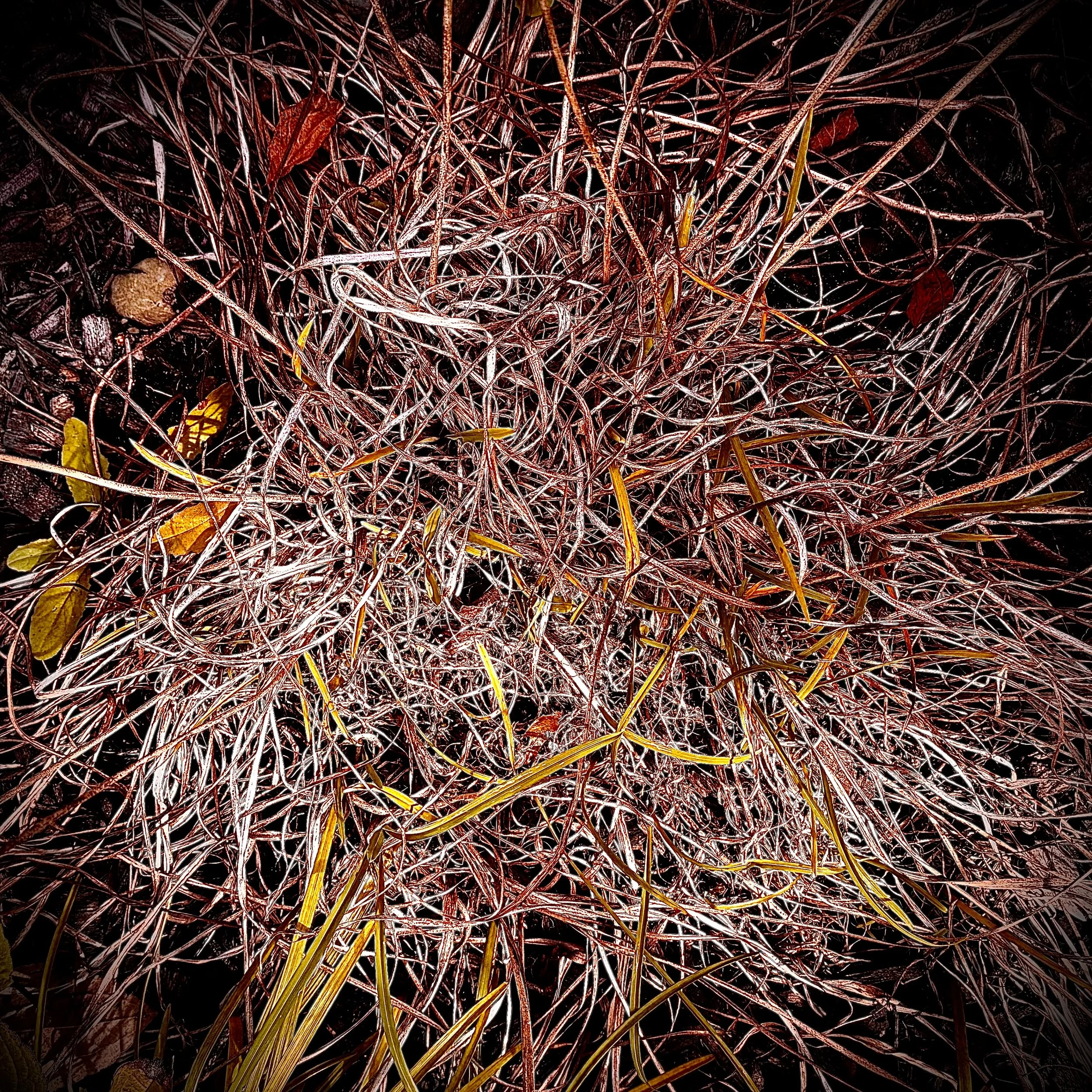 Close-up of tangled reddish-brown and yellow dried grass and small leaves on dark soil.