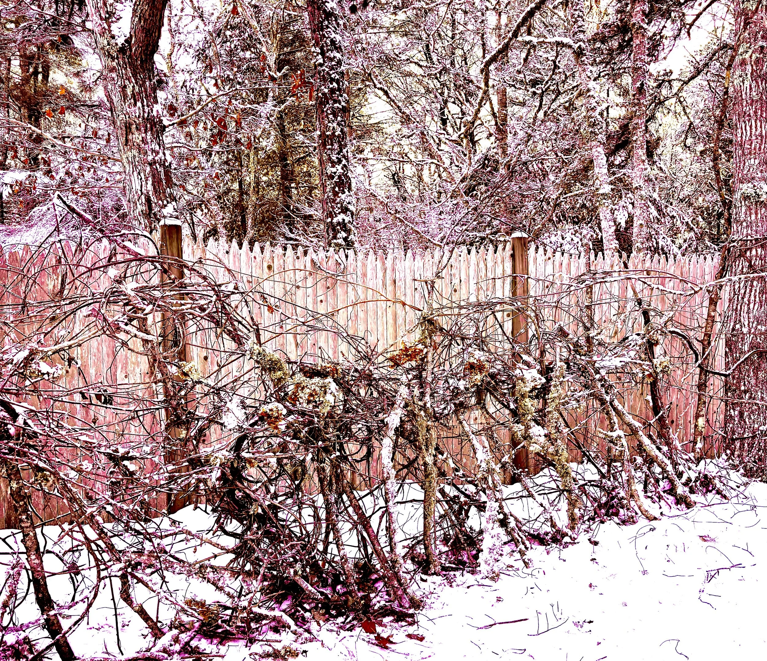 Snow-covered fallen branches and a wooden fence in a snowy backyard with trees in the background.