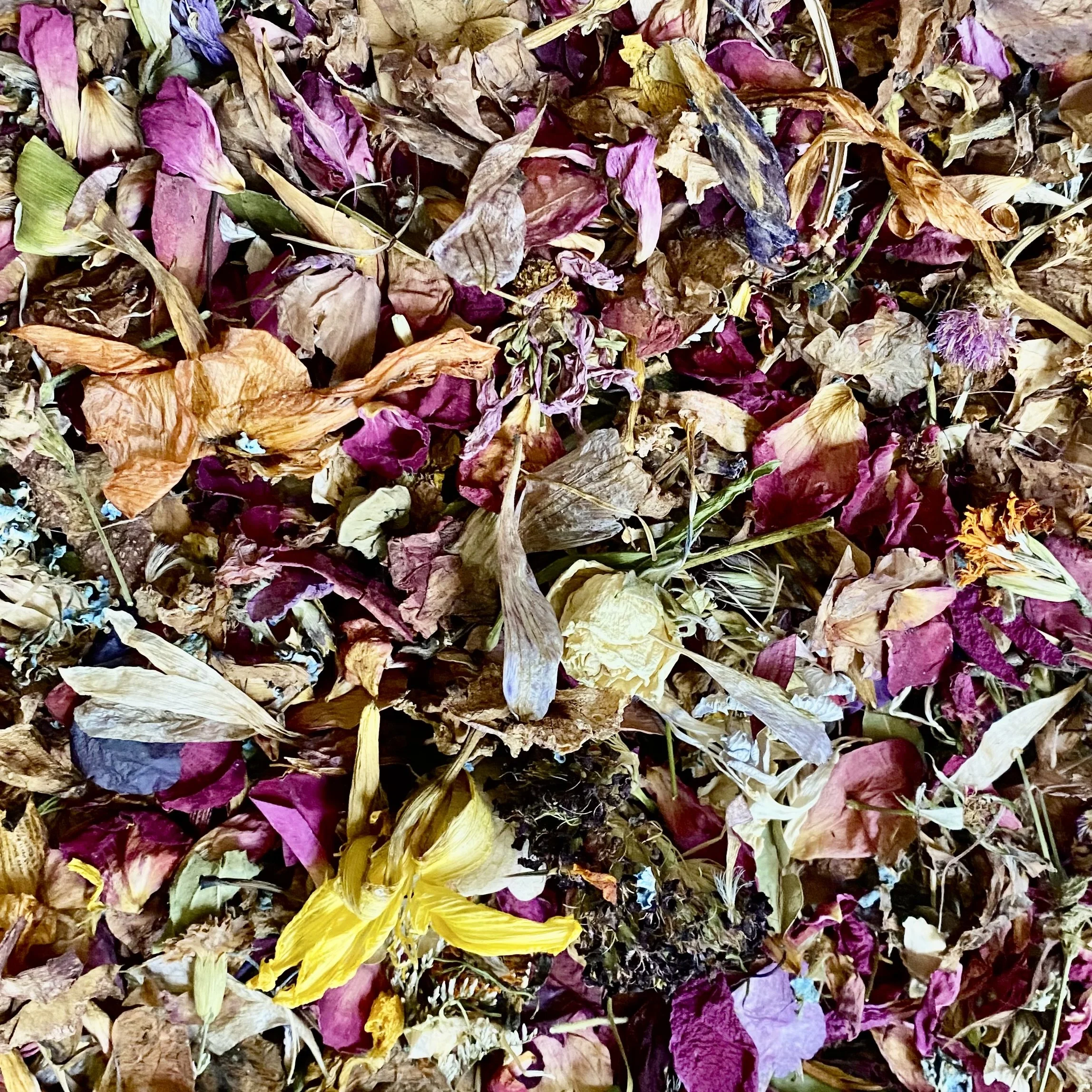 A collection of dried, colorful flower petals and leaves in shades of purple, brown, yellow, and orange.