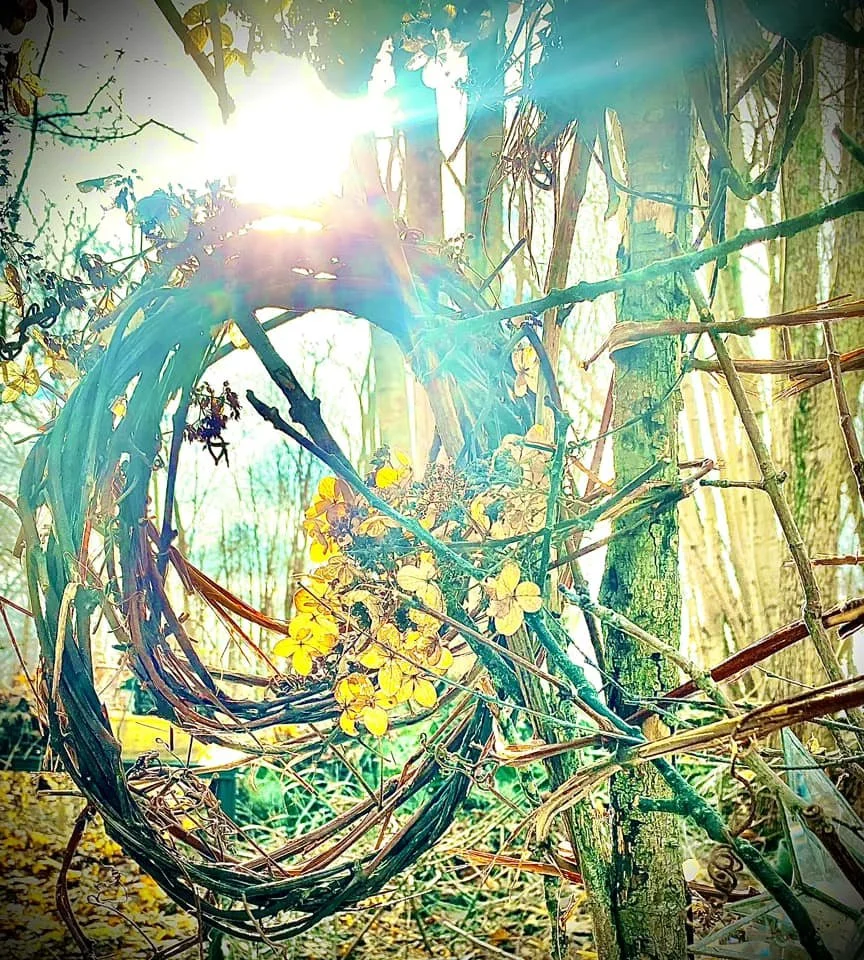 A bird's nest made of intertwined branches and vines with yellow flowers, in a sunlit forest with trees in the background.