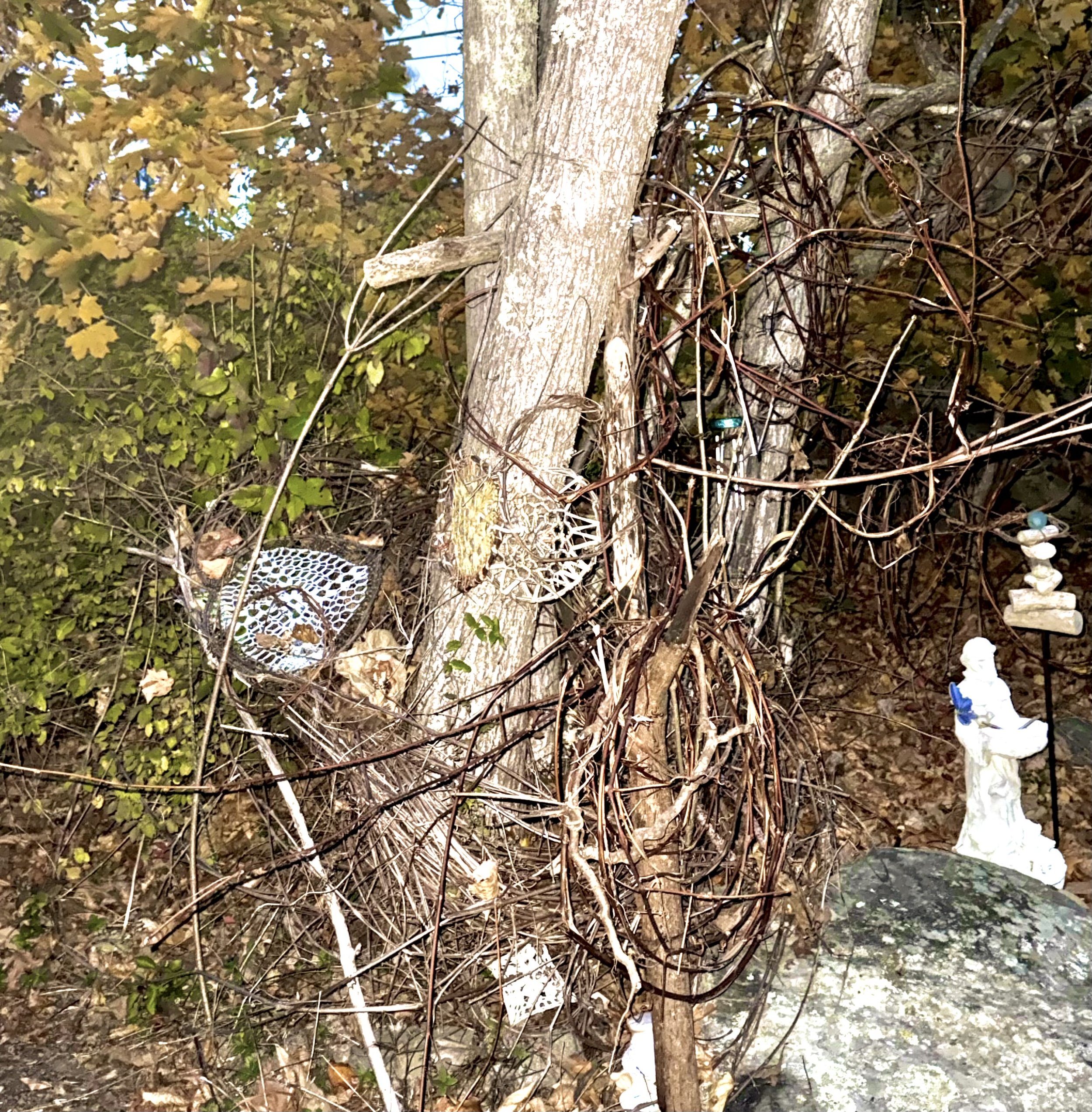 A tree surrounded by dried vines, with various decorative items including a white angel statue, a winding wire sculpture, and small stones with blue beads. The area has fallen leaves and natural debris.