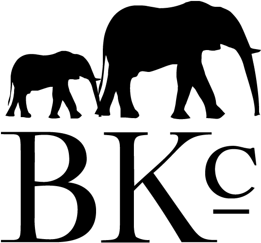 BK MAGAZINE × THE BROOKLYN CIRCUS