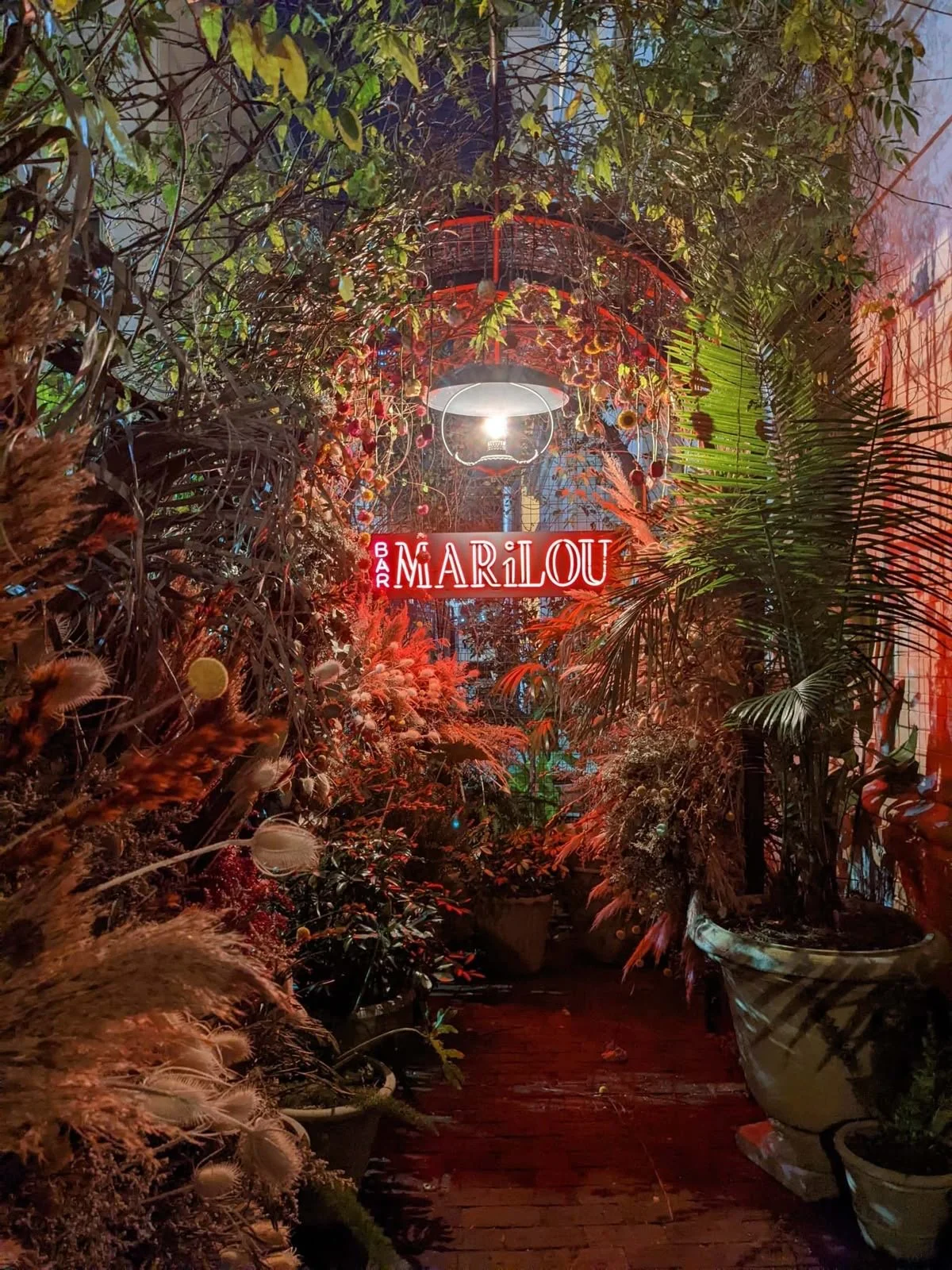 The Best Bars in New Orleans for Cocktails, Wine &amp; Nightcaps