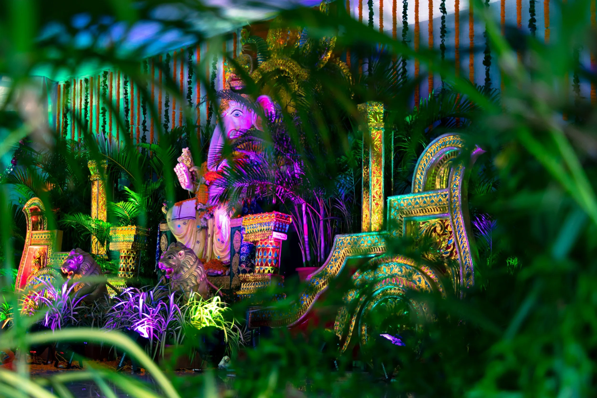 The Perfect Galentine’s Day in New Orleans During Mardi Gras (Without the Chaos)