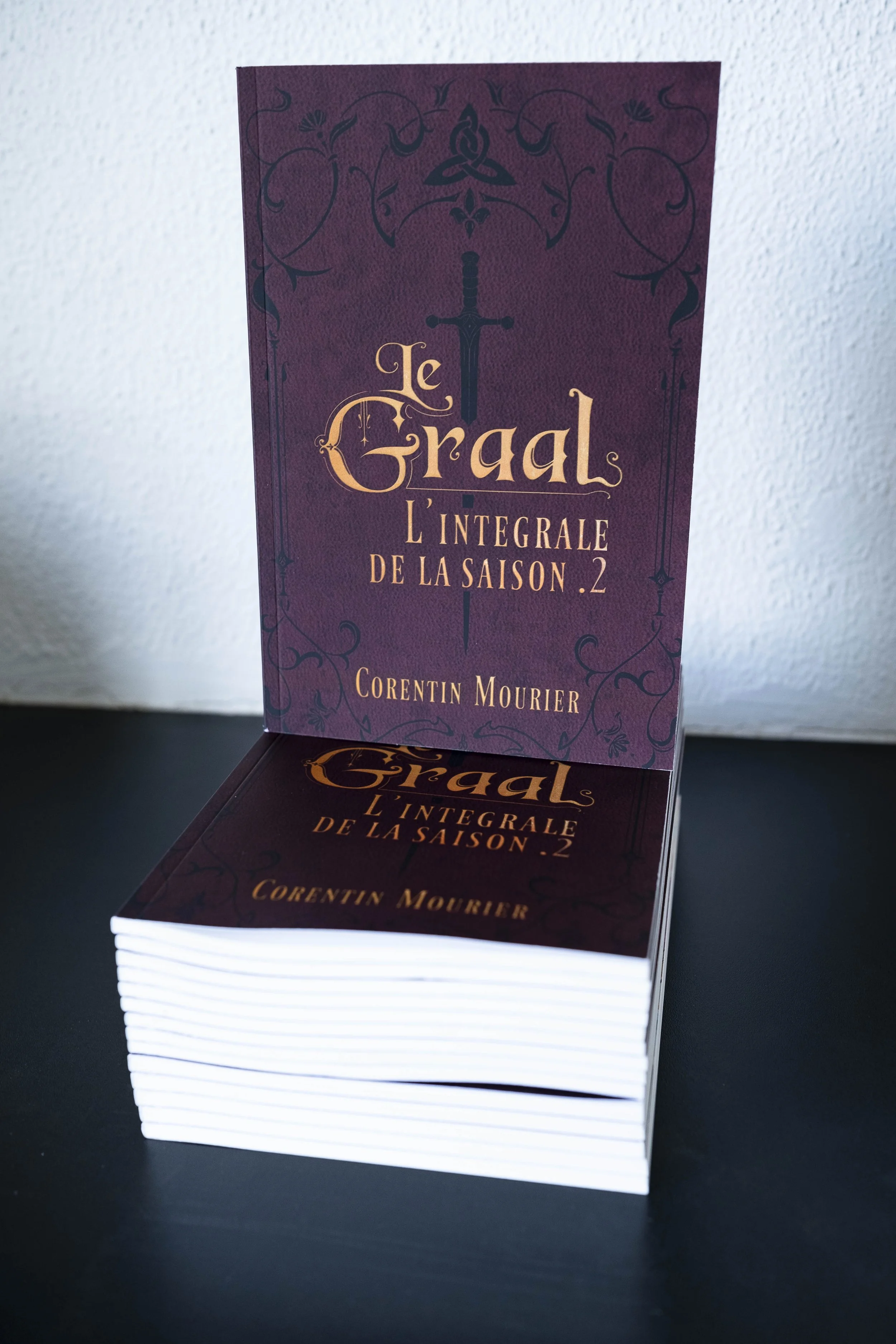 Le Graal : l'intégrale de la saison 2