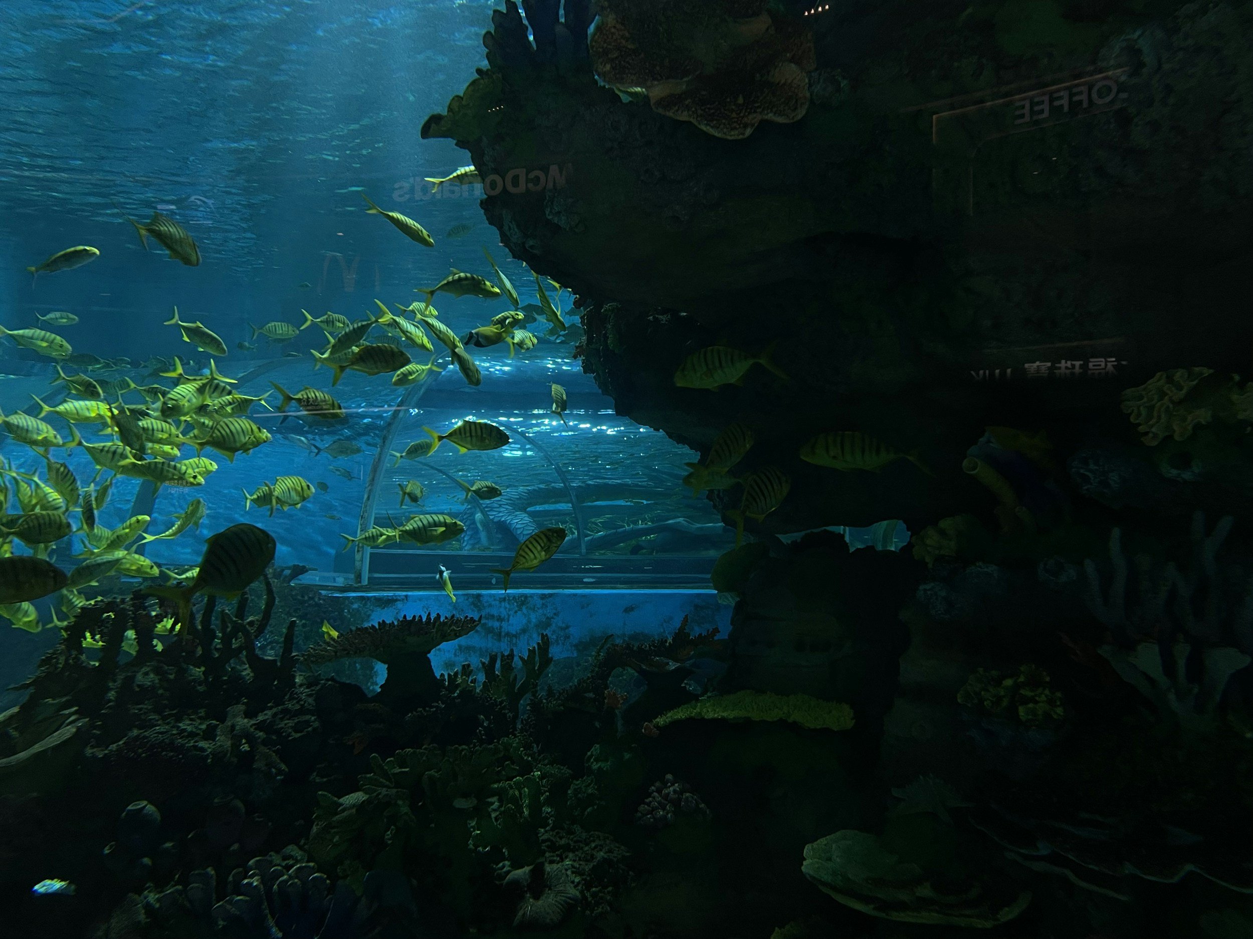 New England Aquarium