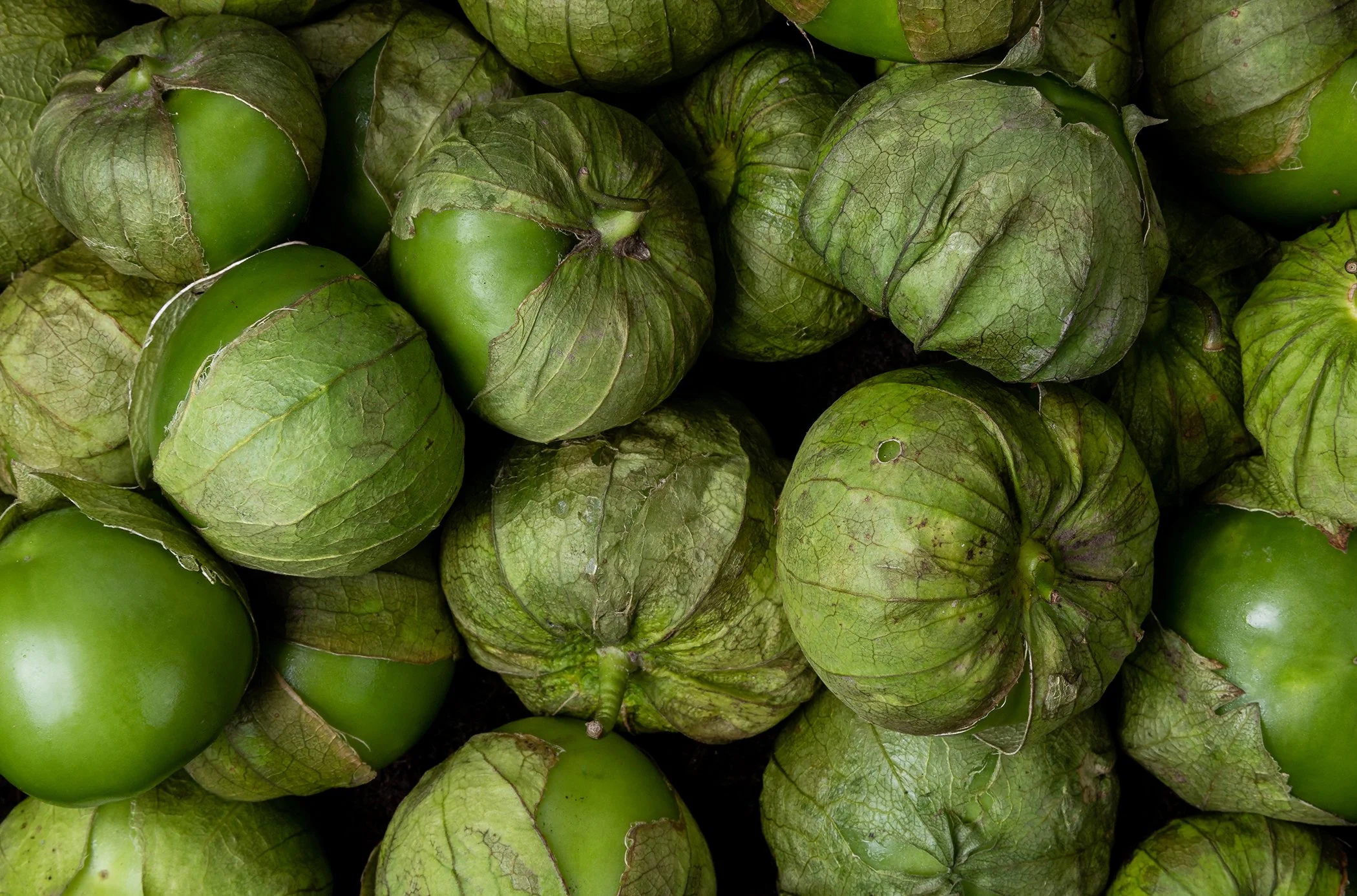 Close-up of green tomatillos with husks, some partially peeled, showing bright green fruit inside.