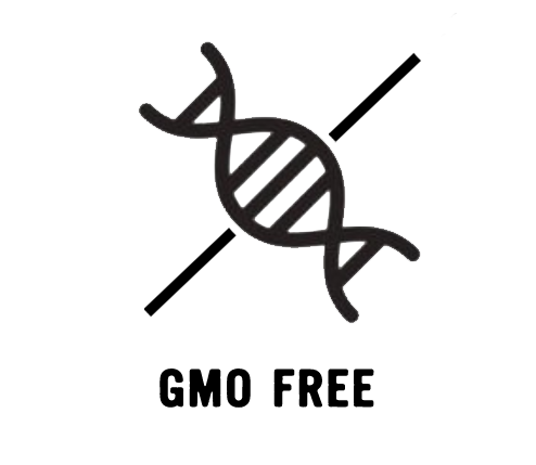 ICONsGMO.webp