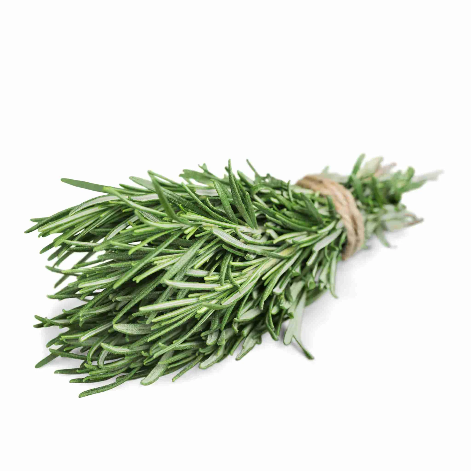 Rosemary