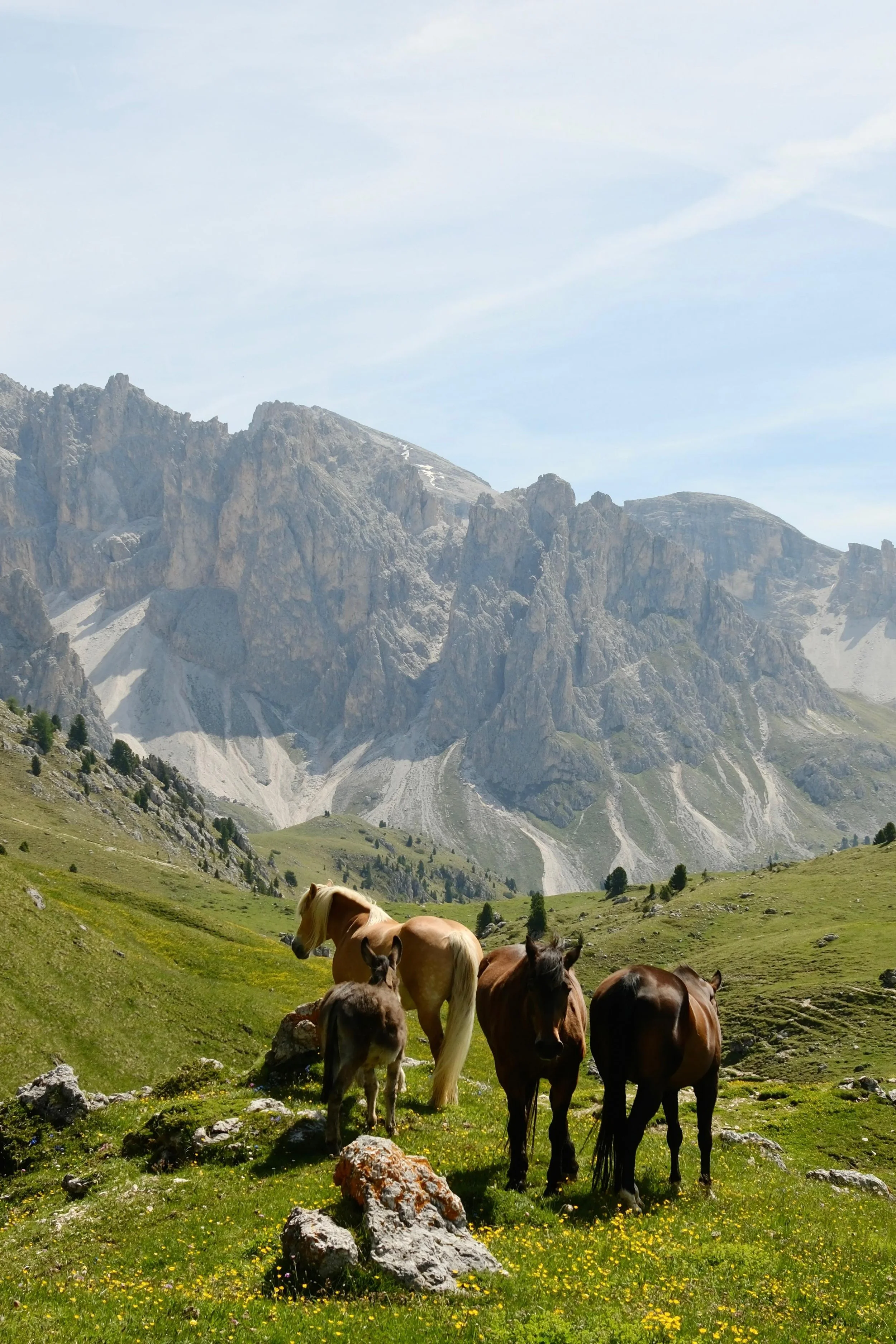 summer dolimiti.jpeg