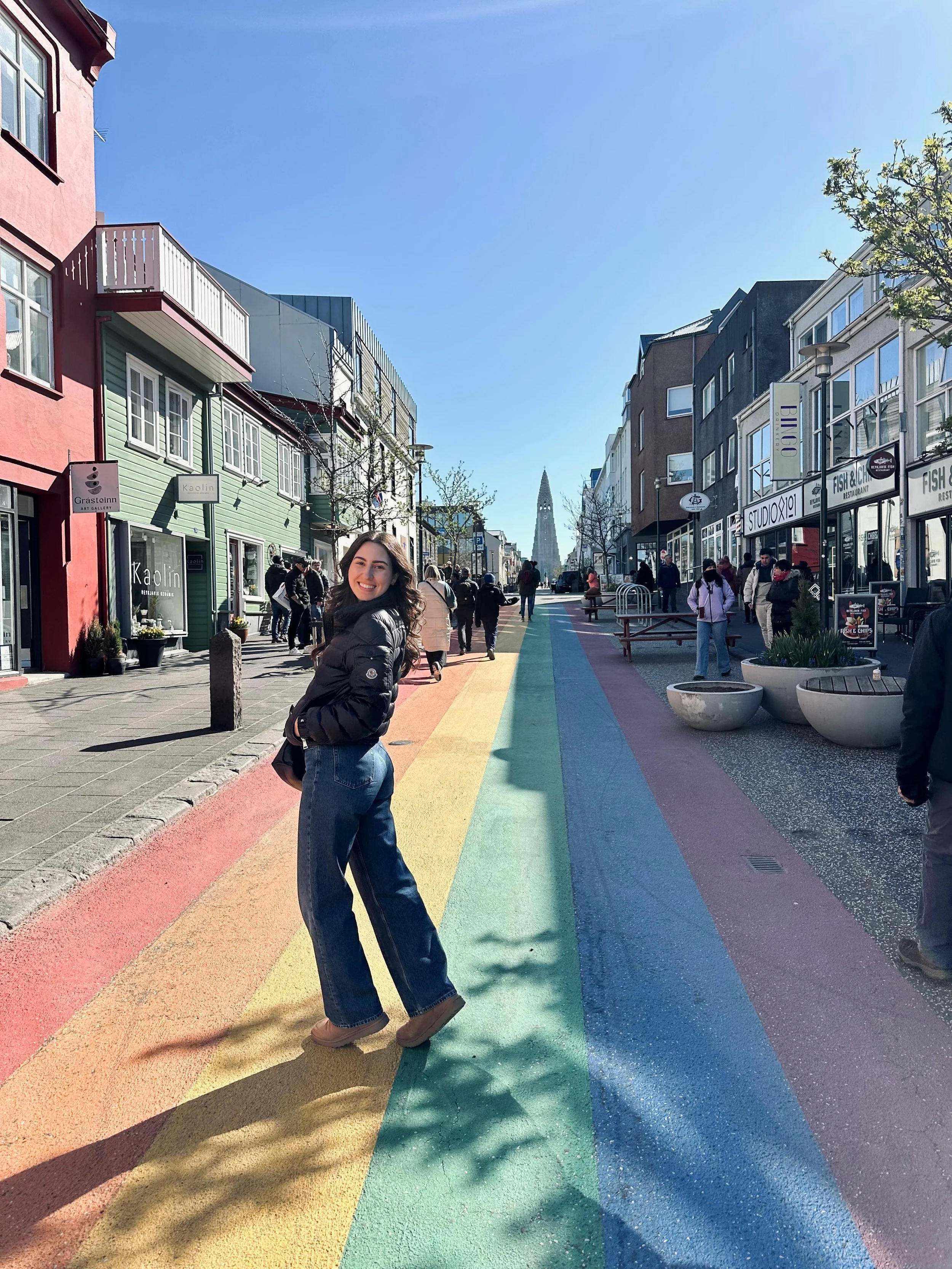 reikjavik 2.jpeg