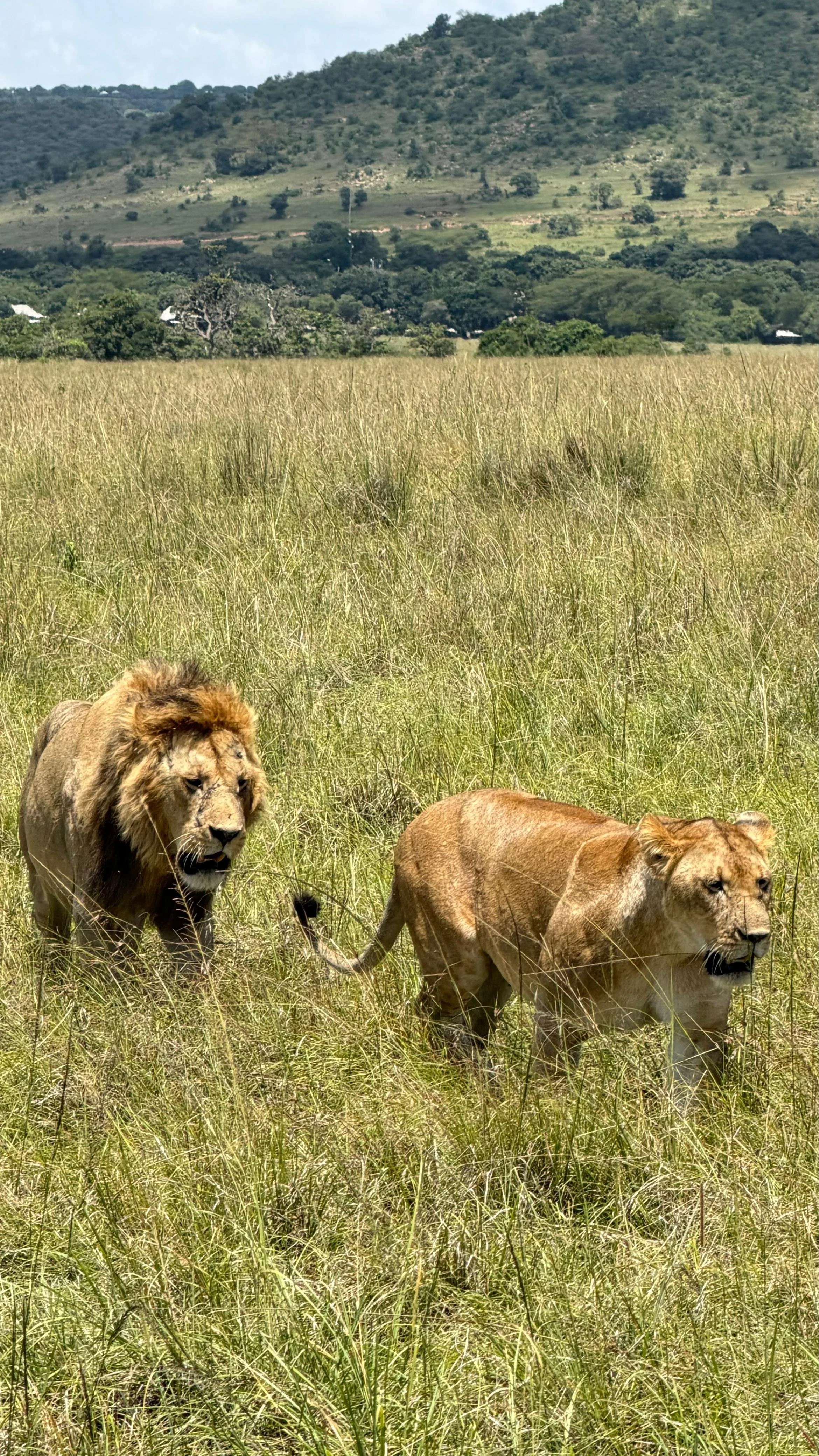 WhatsApp Image 2026-03-13 at 12.21.26 p.m. (3).jpeg