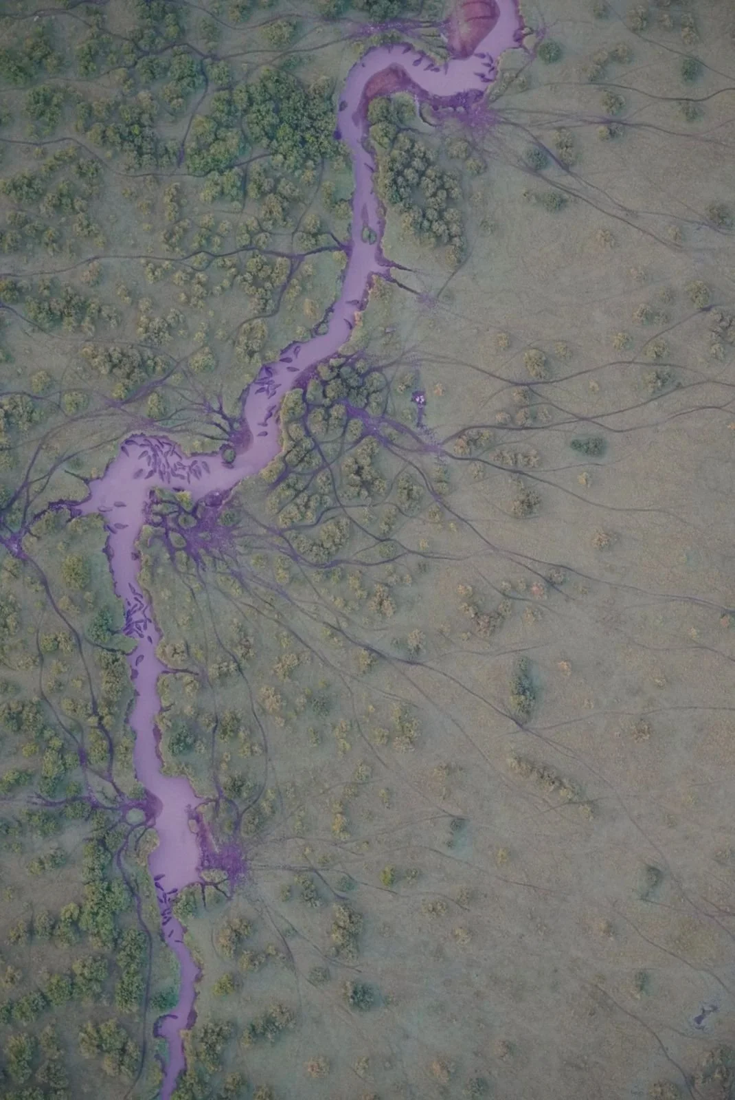 WhatsApp Image 2026-03-13 at 12.21.26 p.m. (13).jpeg