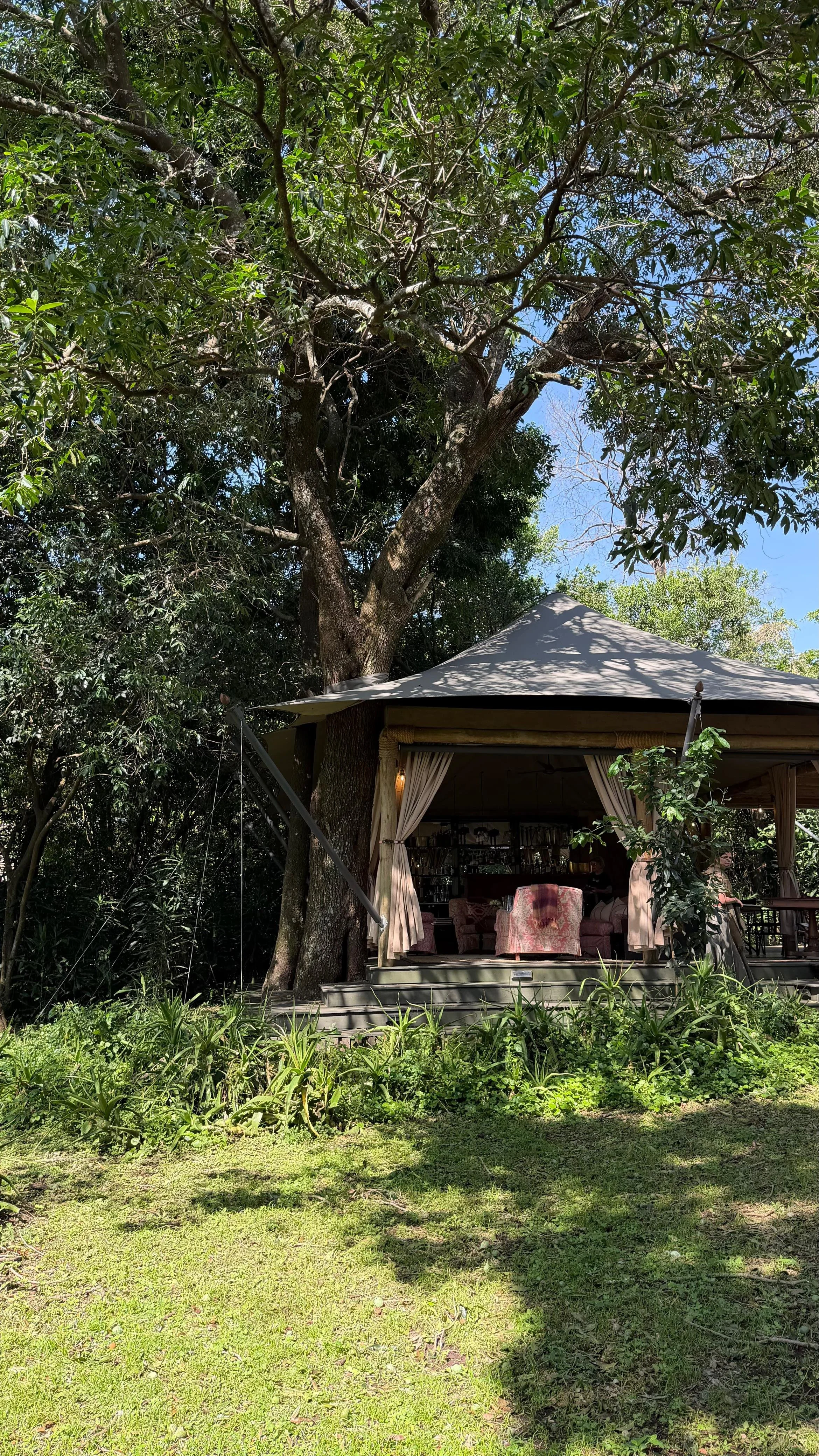 WhatsApp Image 2026-03-13 at 12.21.26 p.m. (11).jpeg