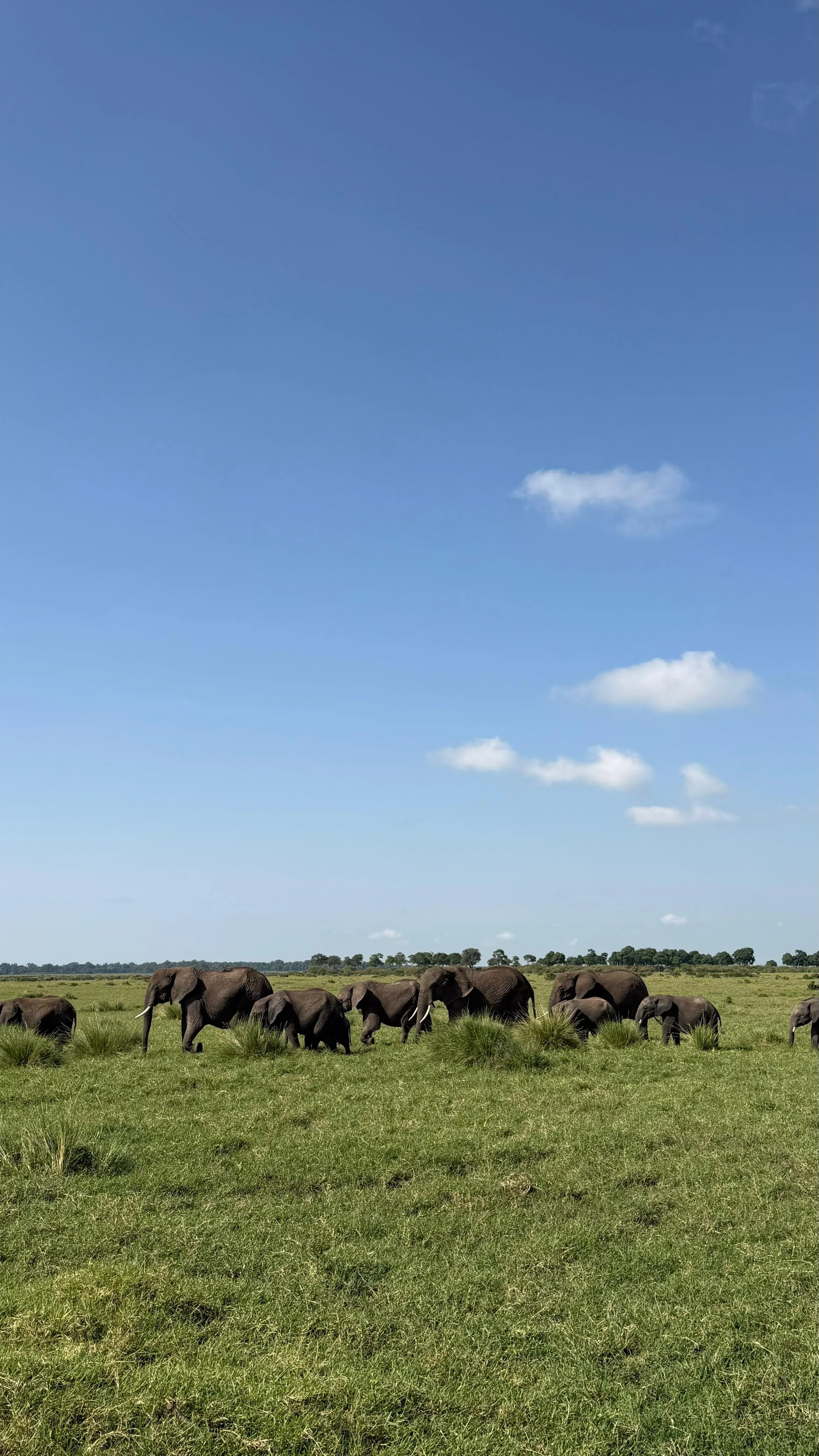 WhatsApp Image 2026-03-13 at 12.21.26 p.m. (14).jpeg