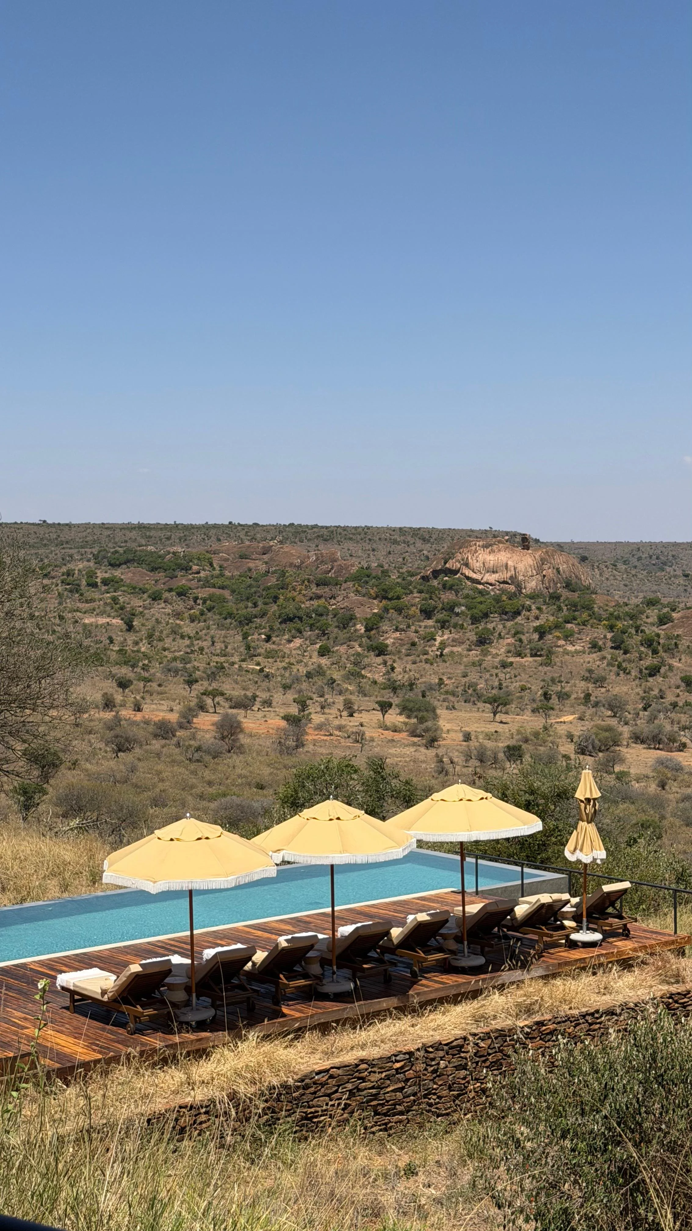 WhatsApp Image 2026-02-23 at 8.45.59 p.m. (1).jpeg