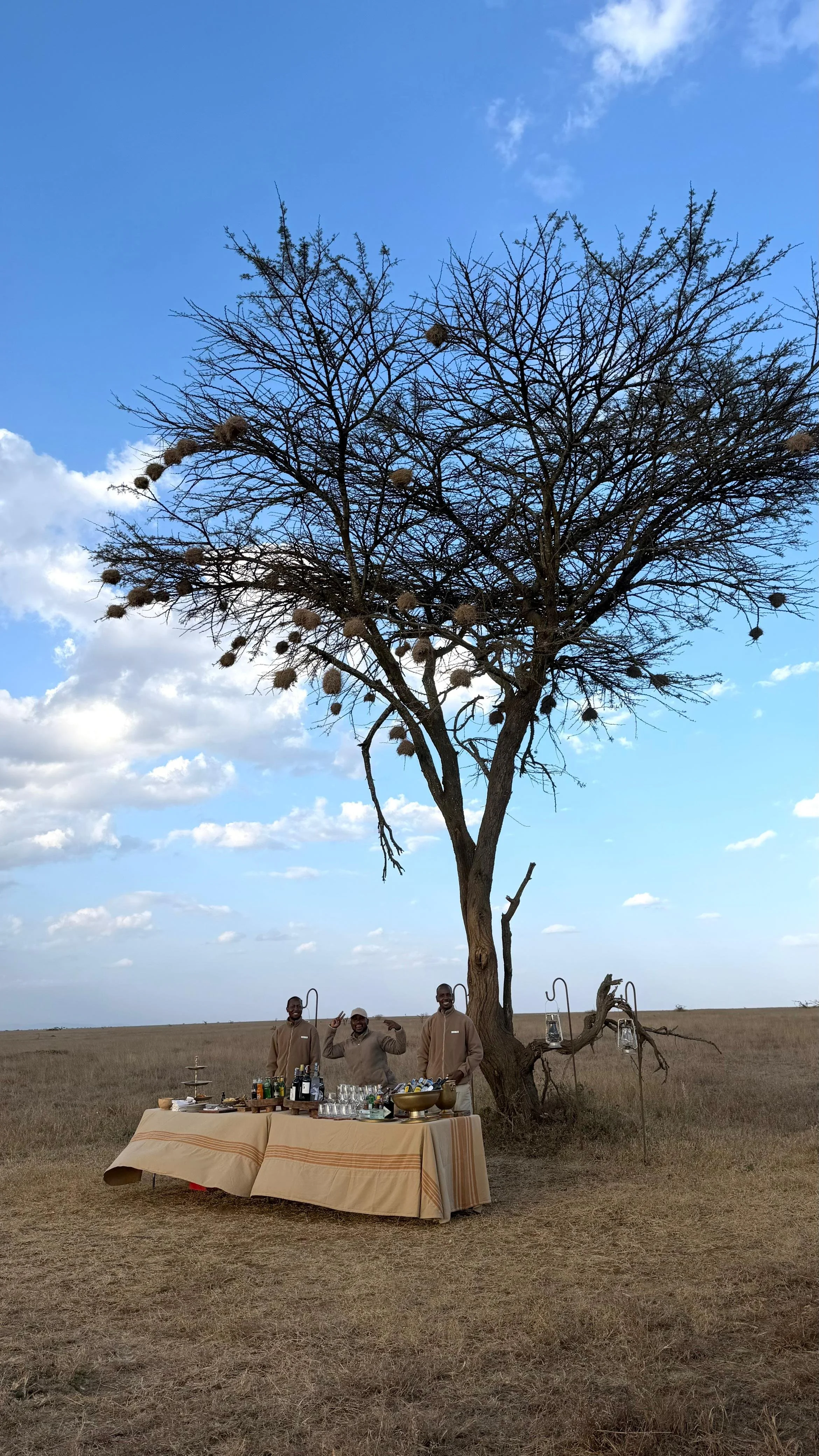 WhatsApp Image 2026-02-23 at 8.46.06 p.m. (1).jpeg