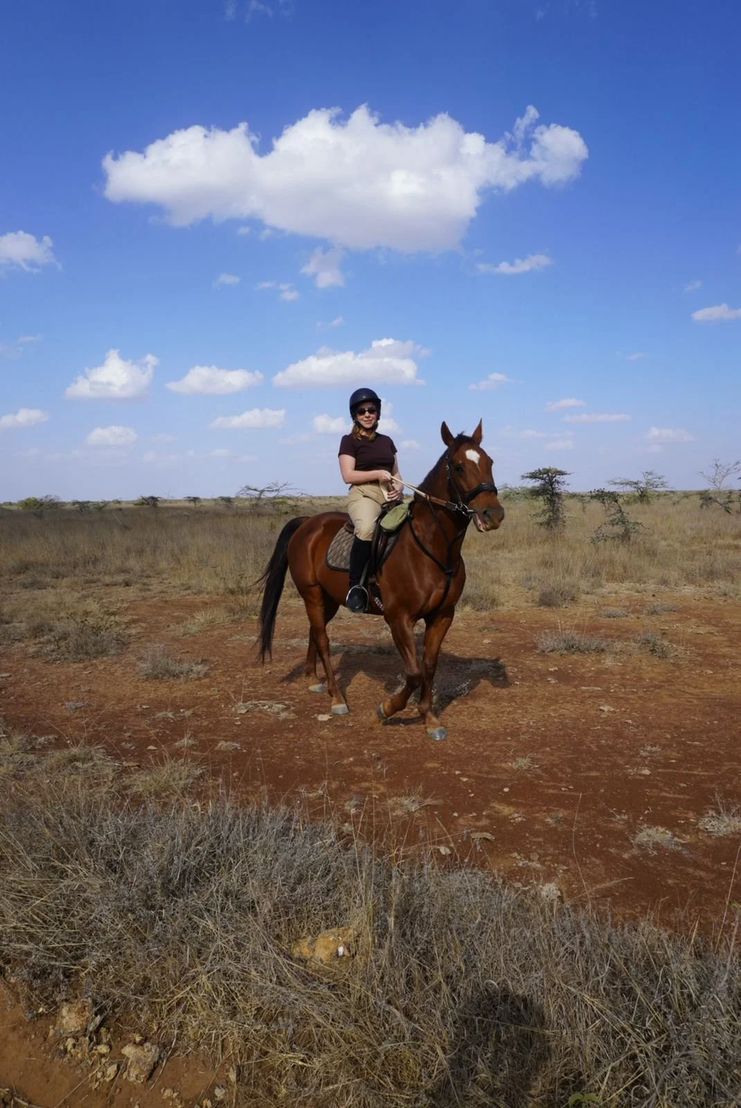 WhatsApp Image 2026-02-23 at 8.46.10 p.m..jpeg