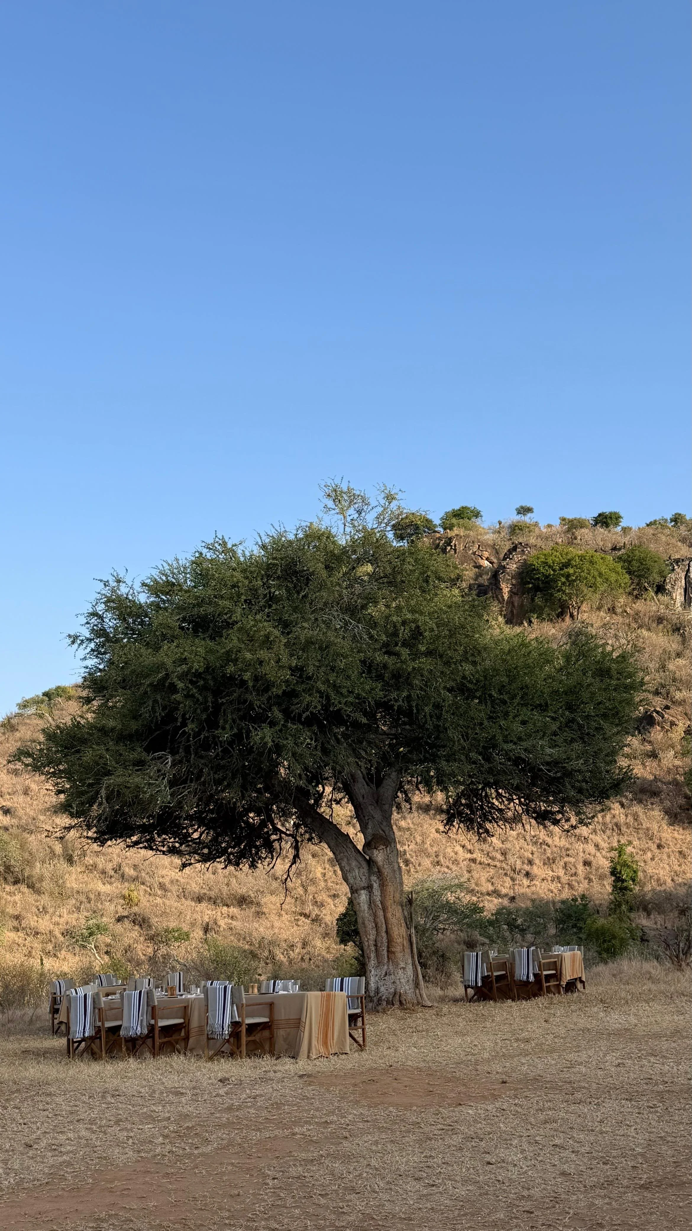 WhatsApp Image 2026-02-23 at 8.46.11 p.m..jpeg