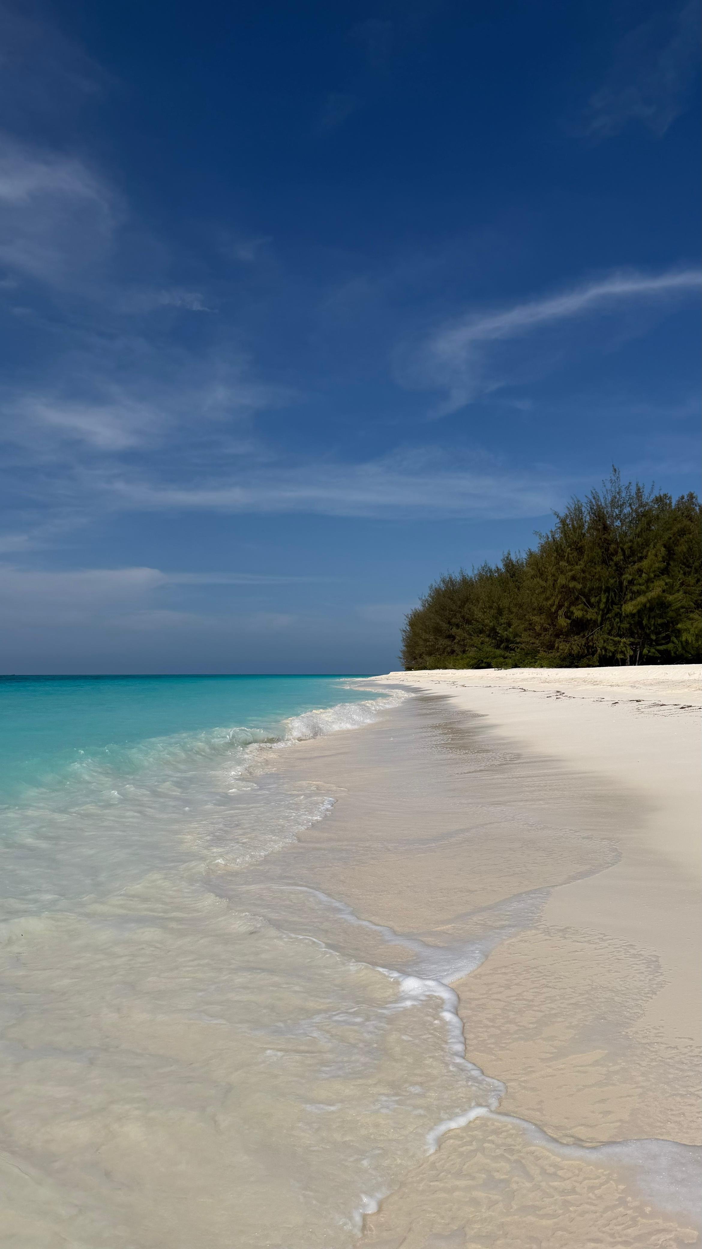 WhatsApp Image 2026-03-13 at 12.24.09 p.m. (2).jpeg