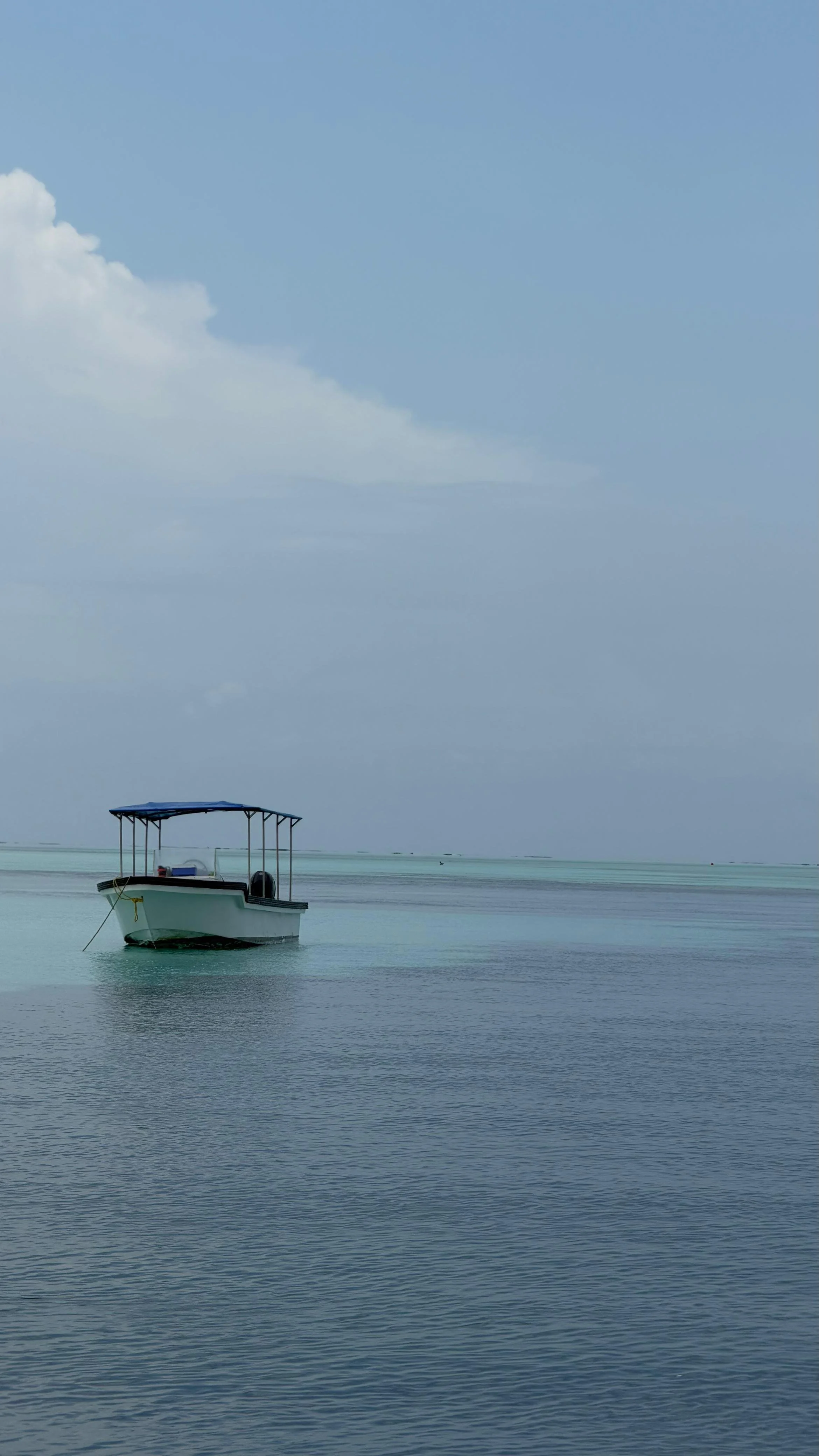 WhatsApp Image 2026-03-13 at 12.24.09 p.m. (5).jpeg