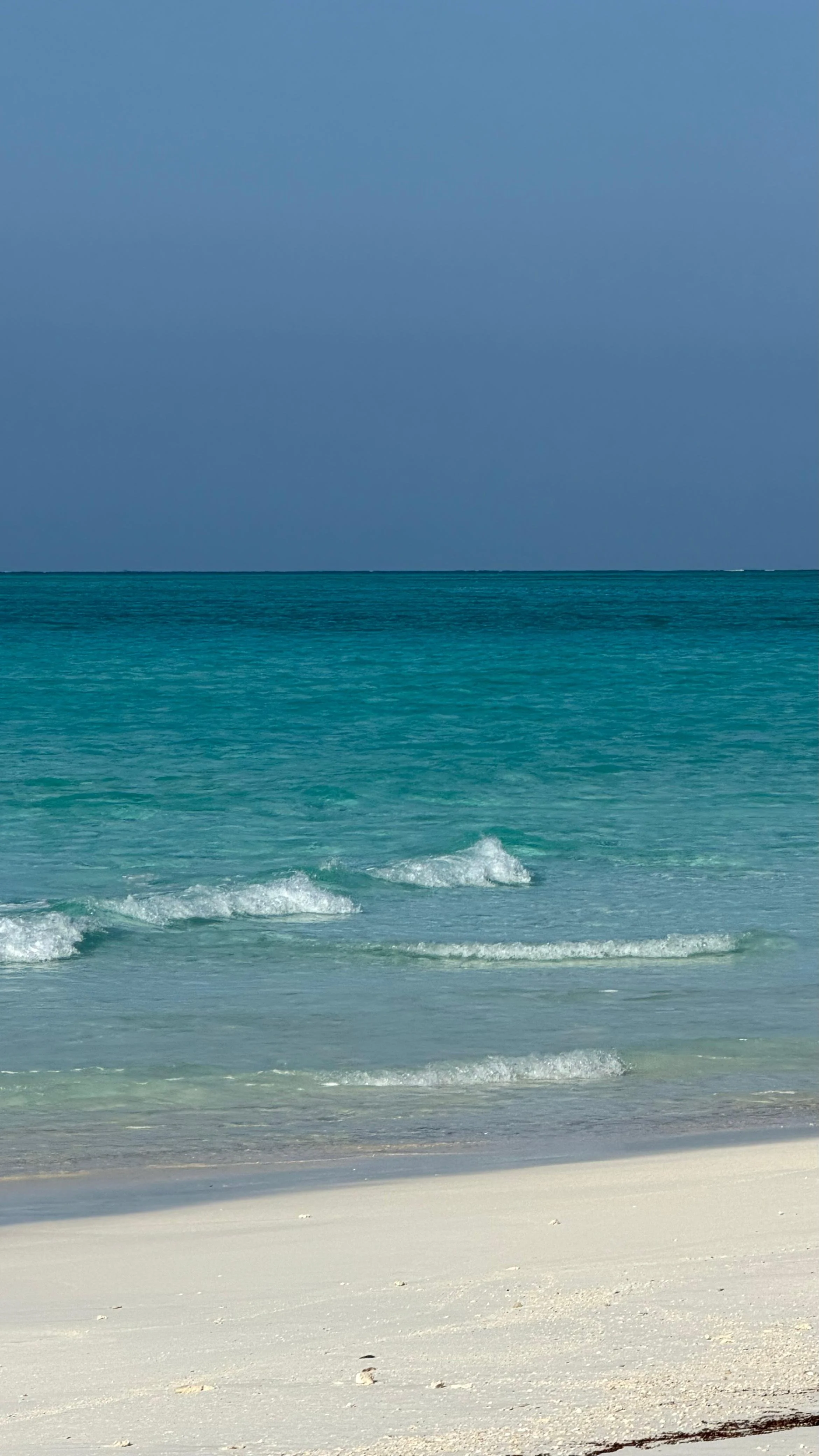 WhatsApp Image 2026-03-13 at 12.24.09 p.m. (7).jpeg