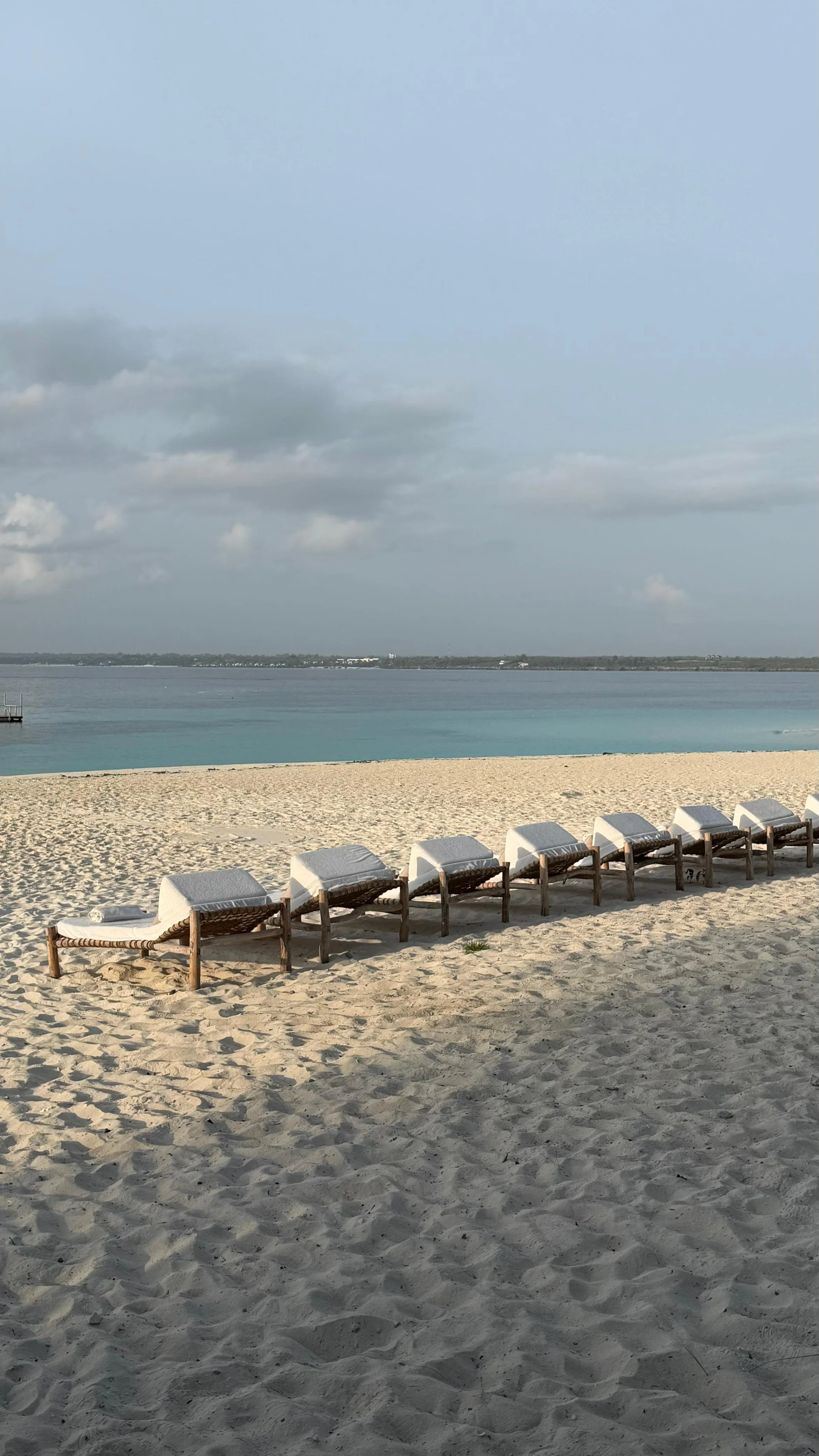 WhatsApp Image 2026-03-13 at 12.24.09 p.m. (11).jpeg