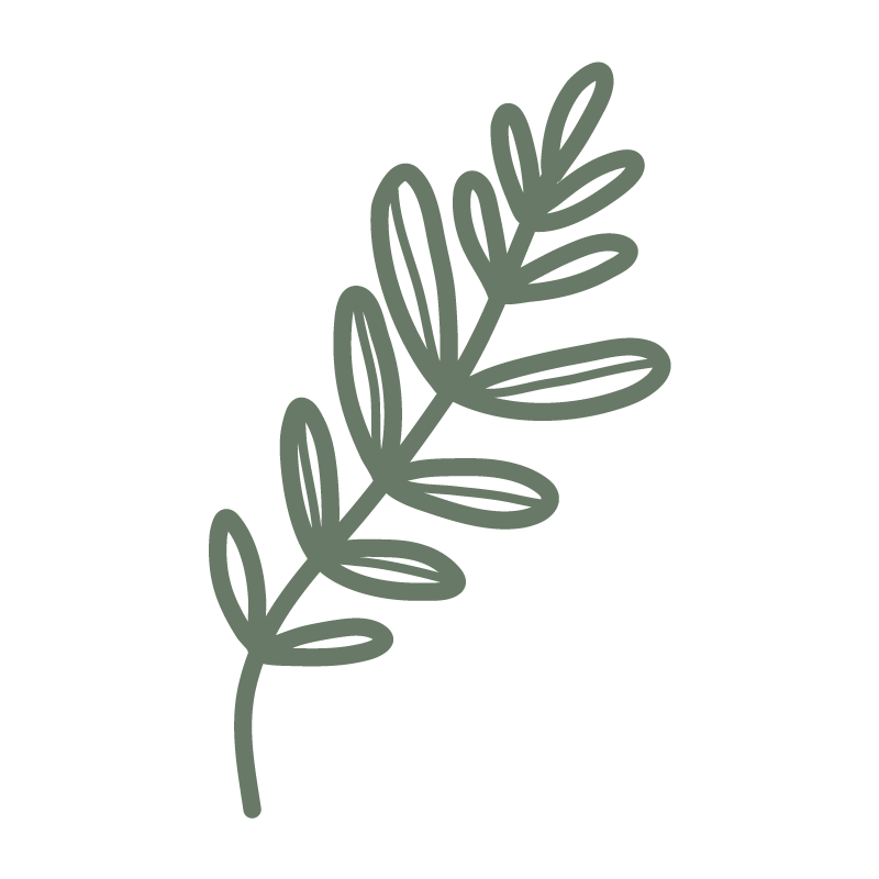 Minimalist illustration of a green sprig or branch with narrow leaves on black background.