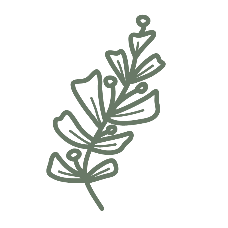 Line drawing of a sprig of holly with leaves and berries on a black background.