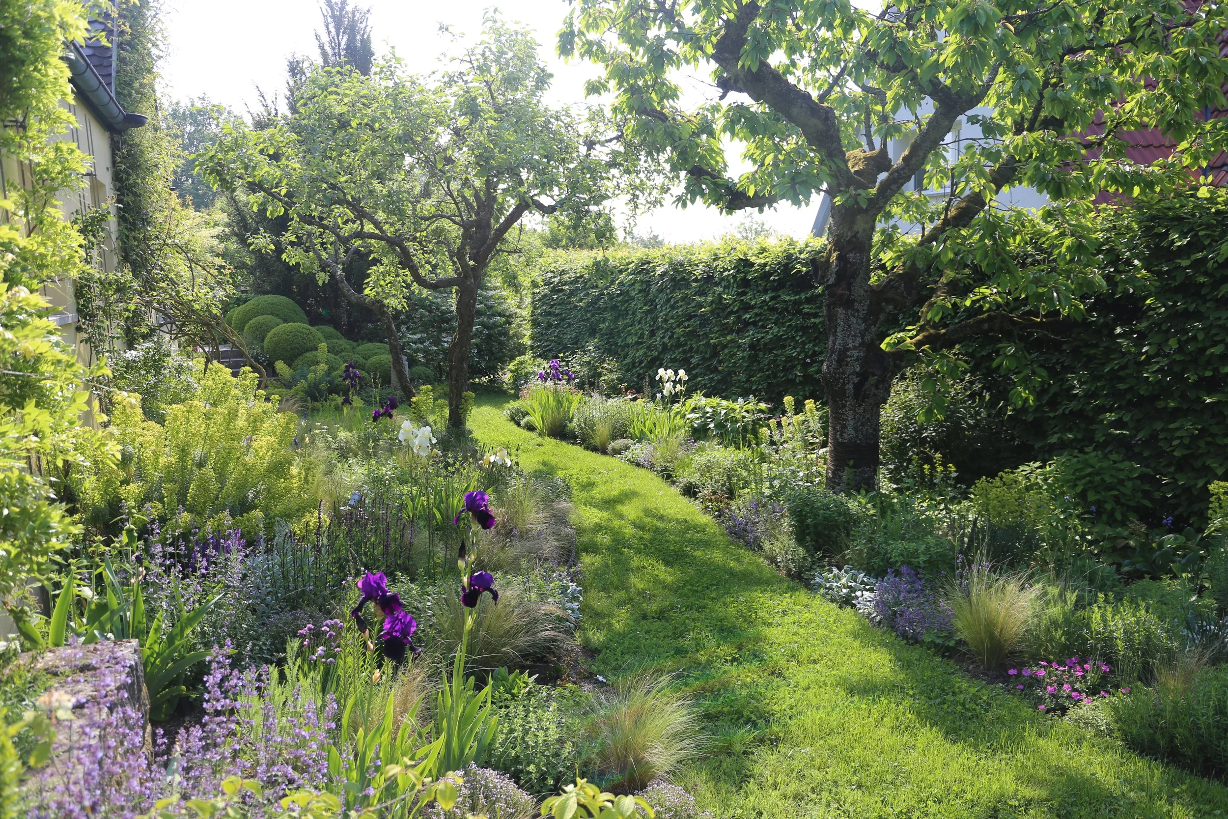 Trockengarten im sam Schaugarten.JPG