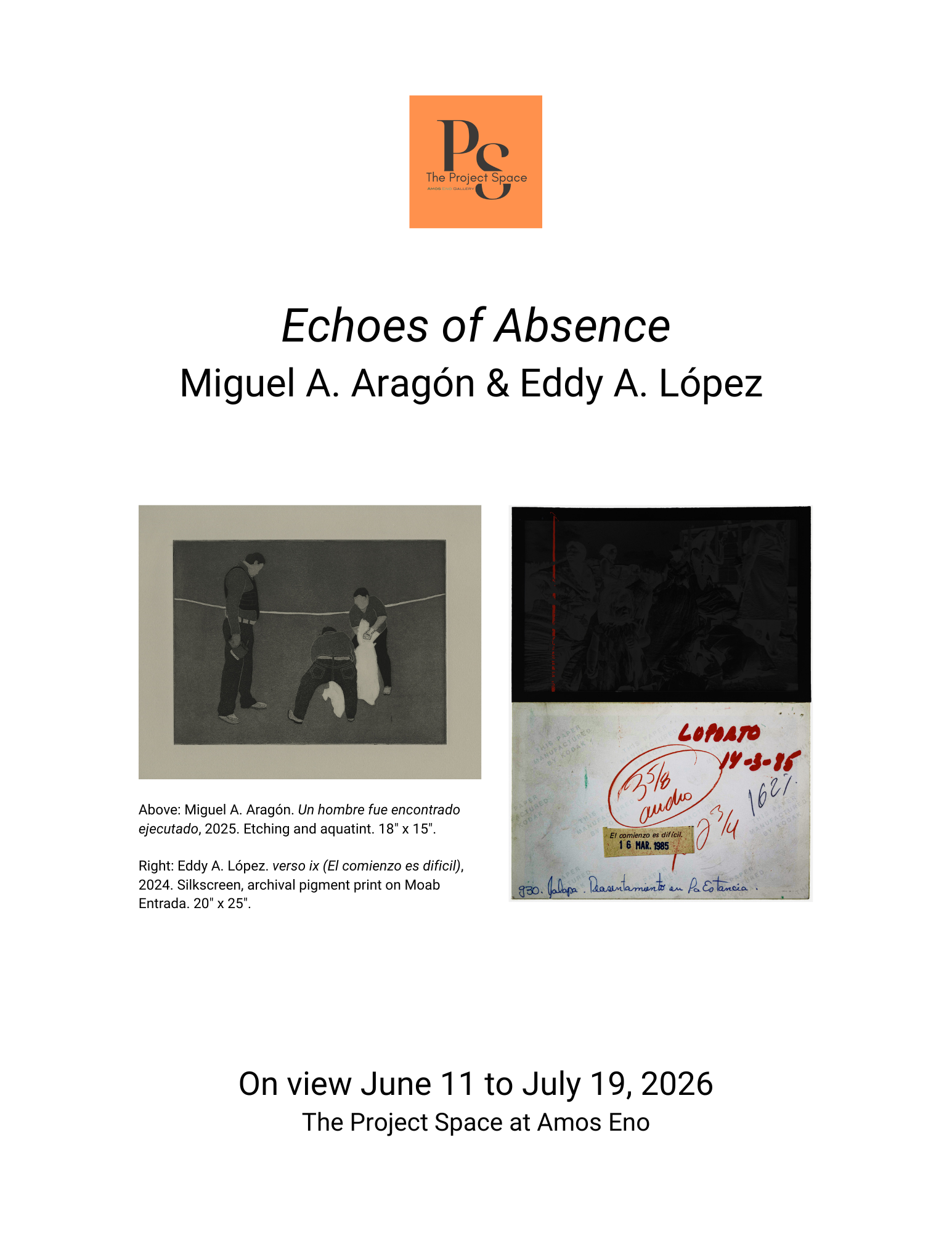 Echoes of Absence Project Space 2026.png