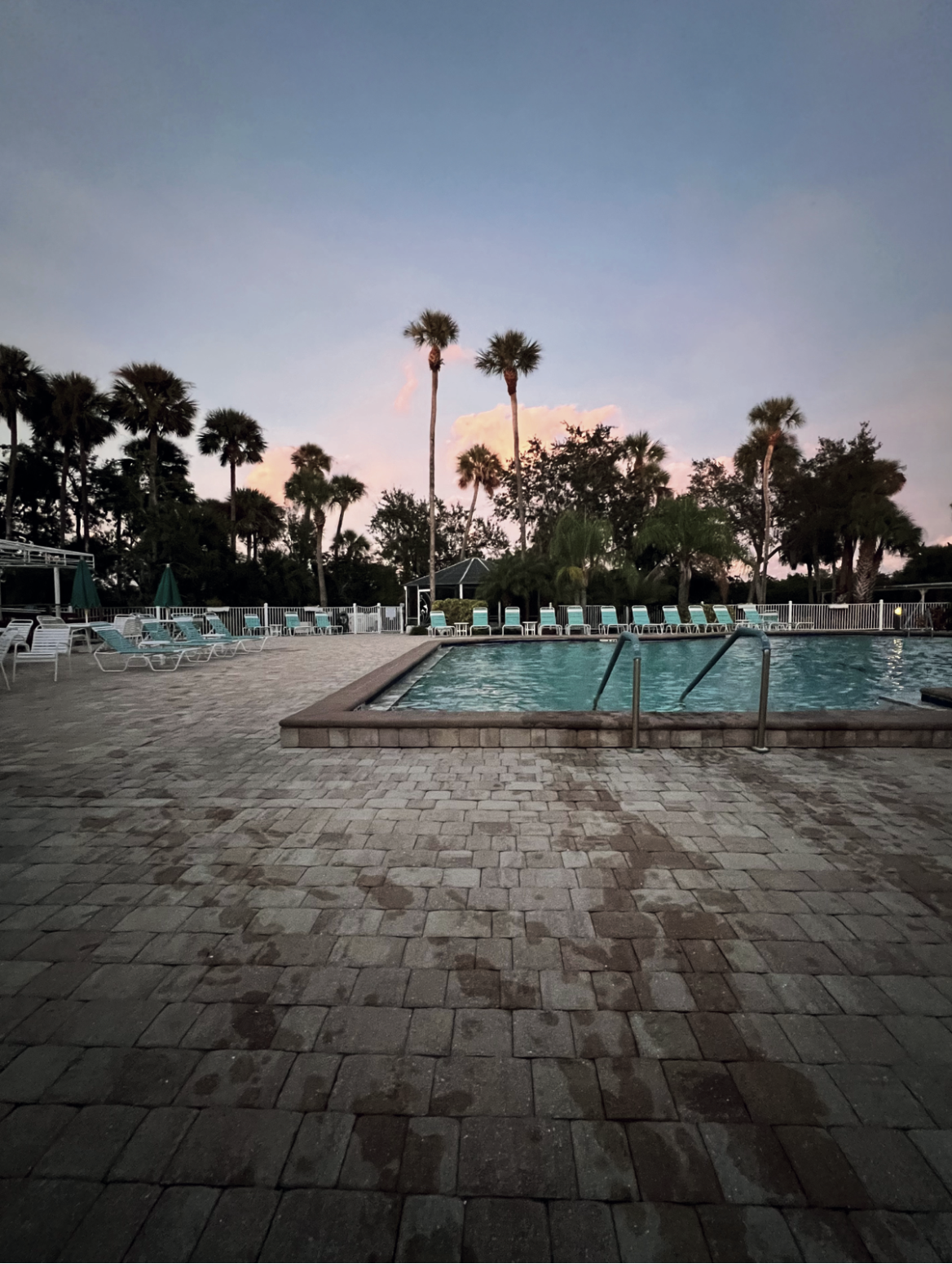 Ellen Sturm Niz: "Night Swimming," 2024. Edgewater, Florida. Digital photograph.
