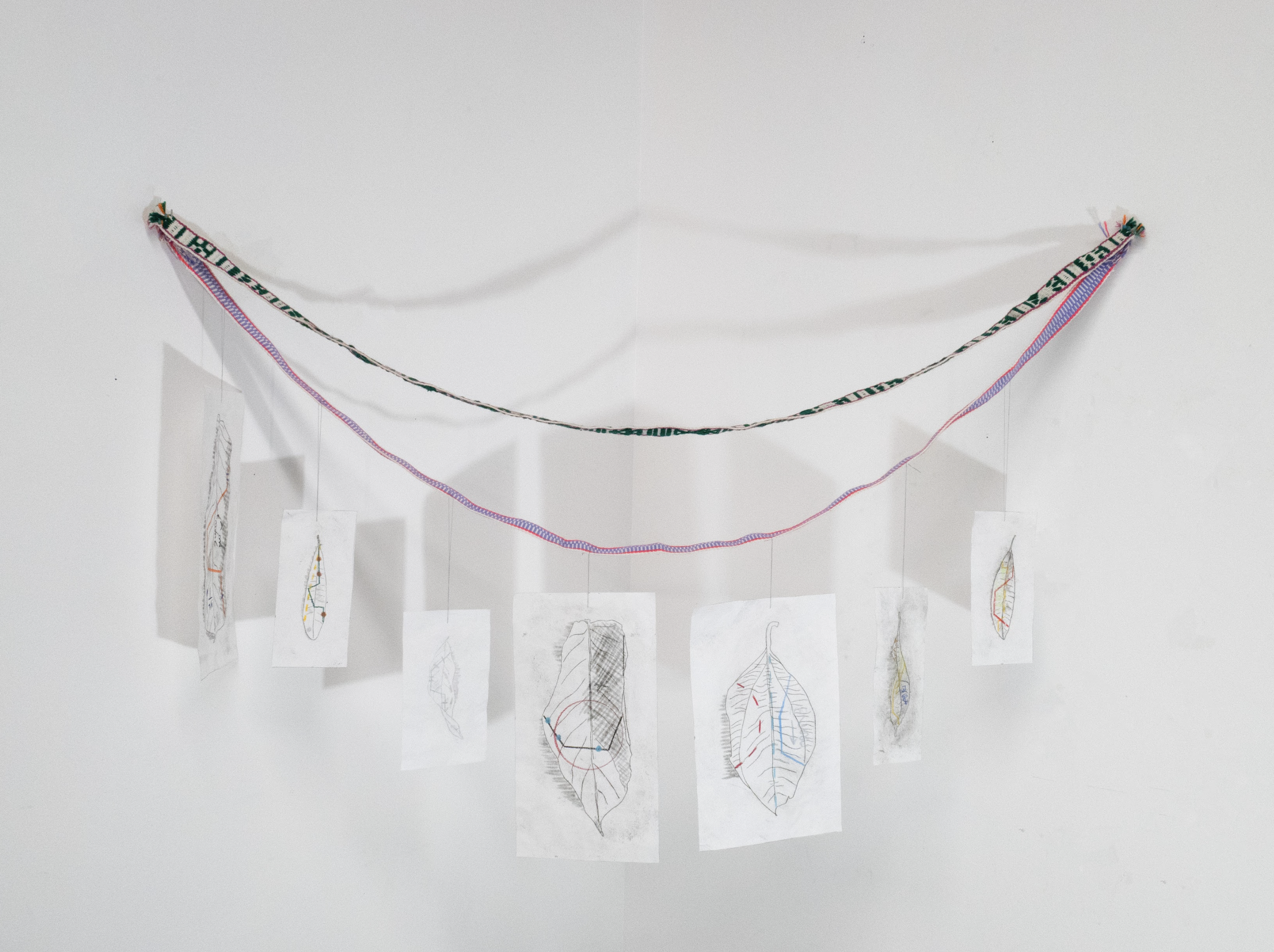 Screenshot 2026-02-21 at 1.00.12 PM.png