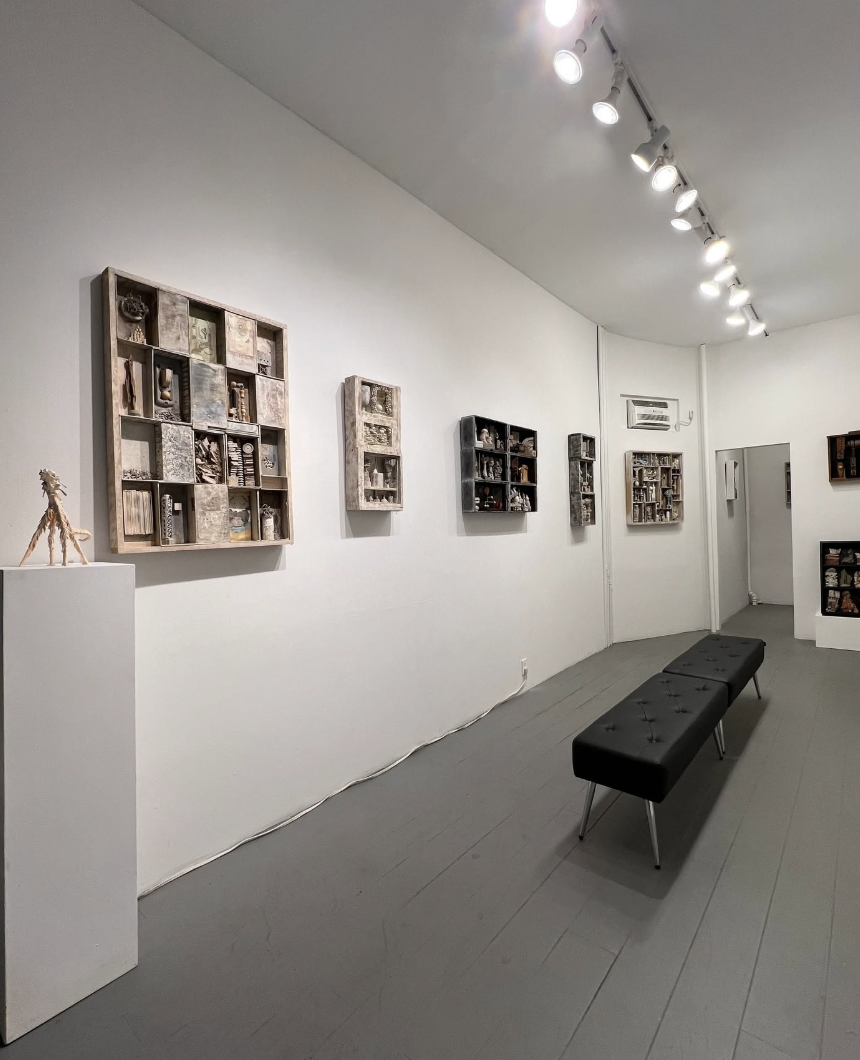 Damien Olsen Berdichevsky: Natural Histories