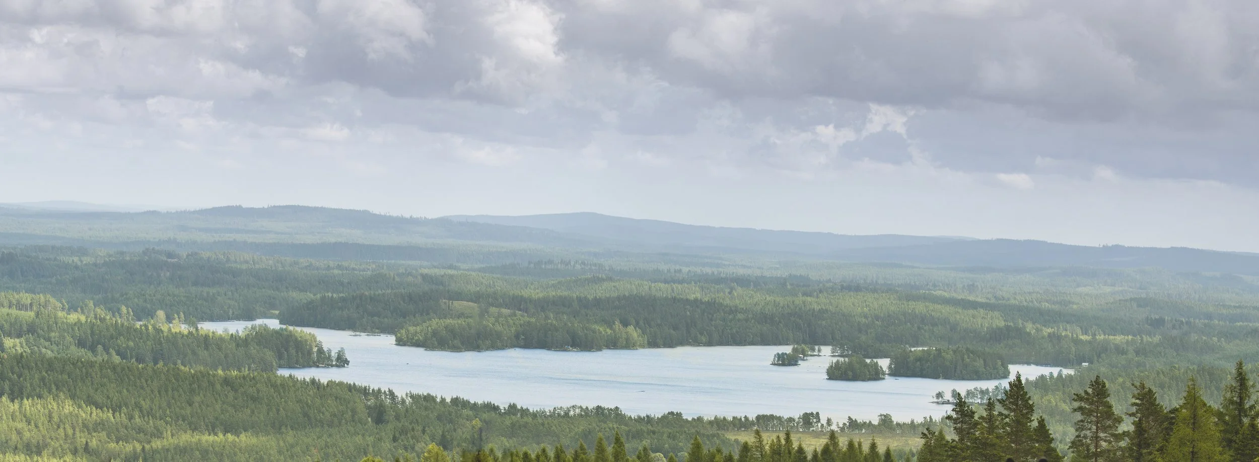 A lake surrounded by forest in Sweden 