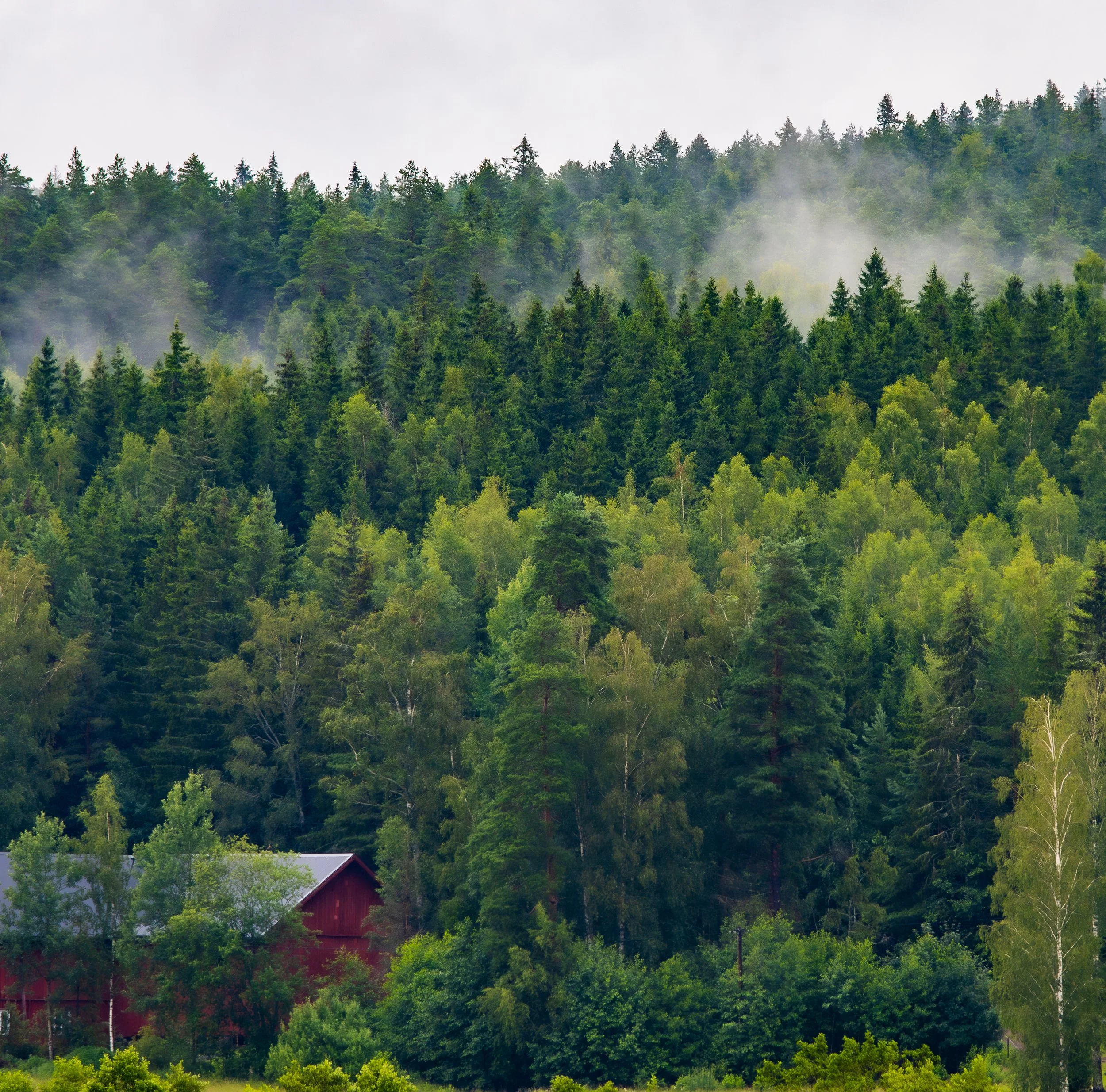 Sweden