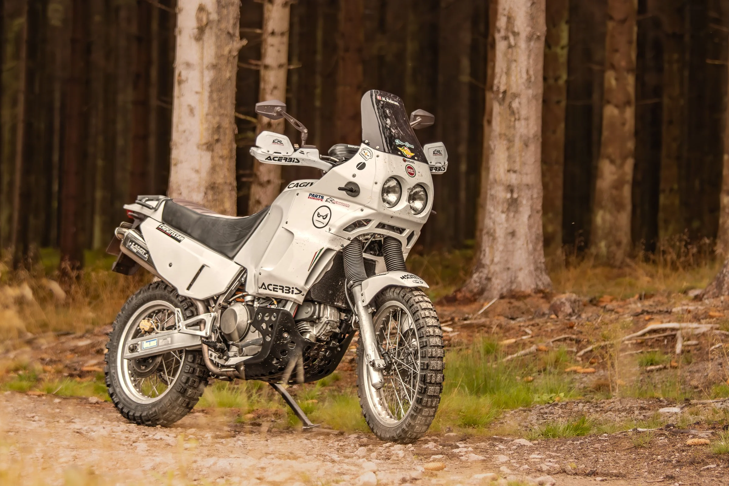 white cagiva elefant in a forest
