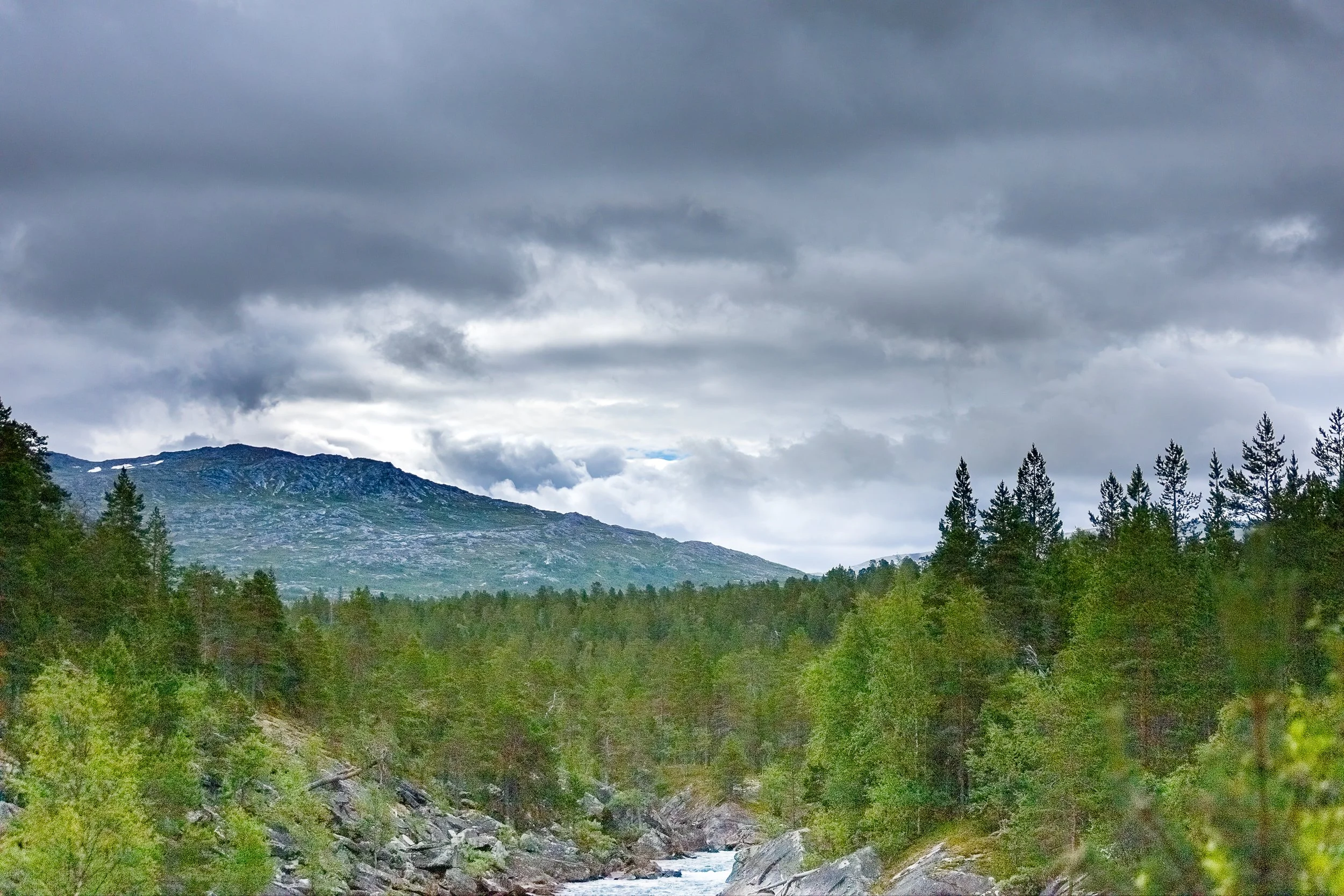forrest and mountains in cloudy weather