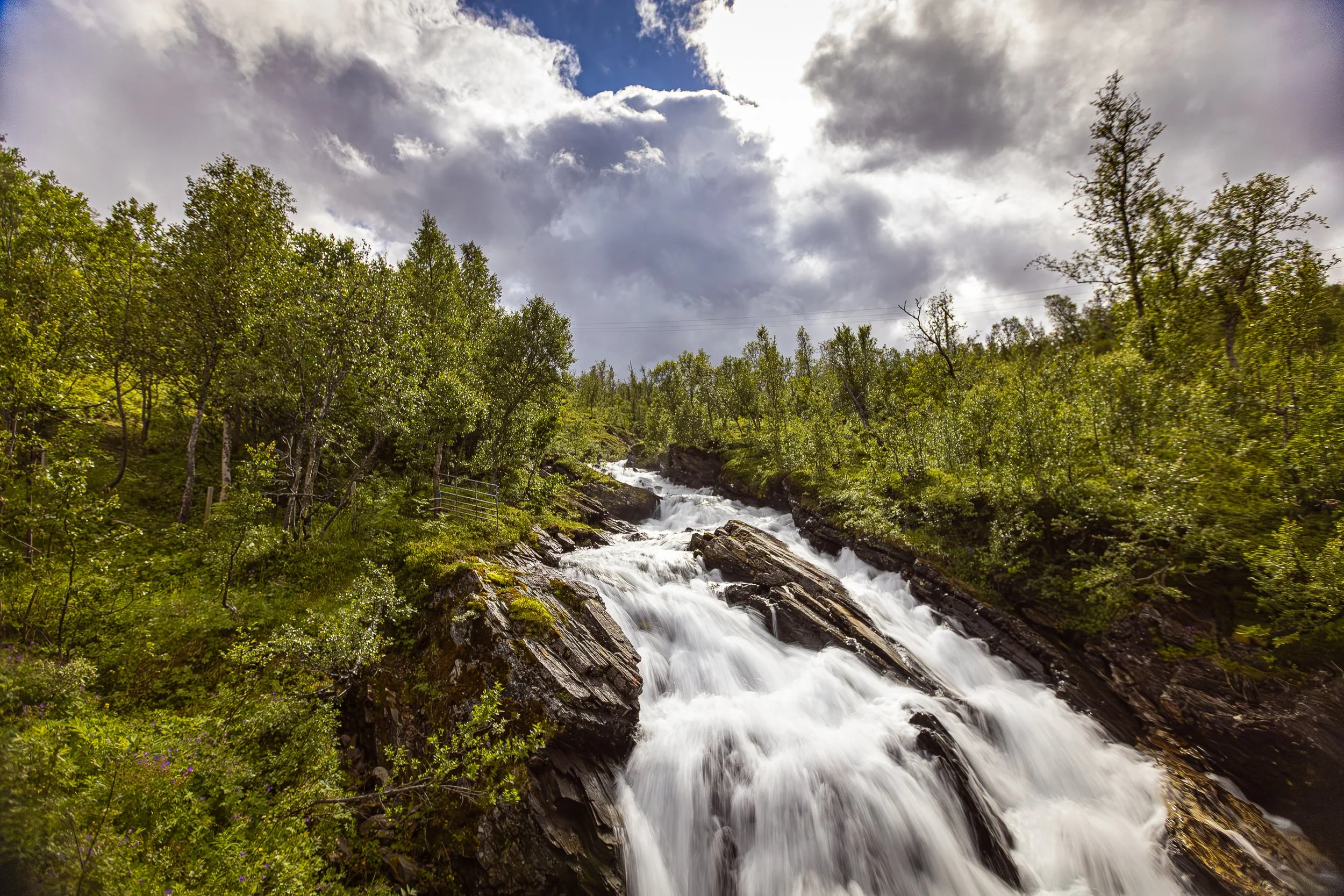 waterfall surrounded by trees