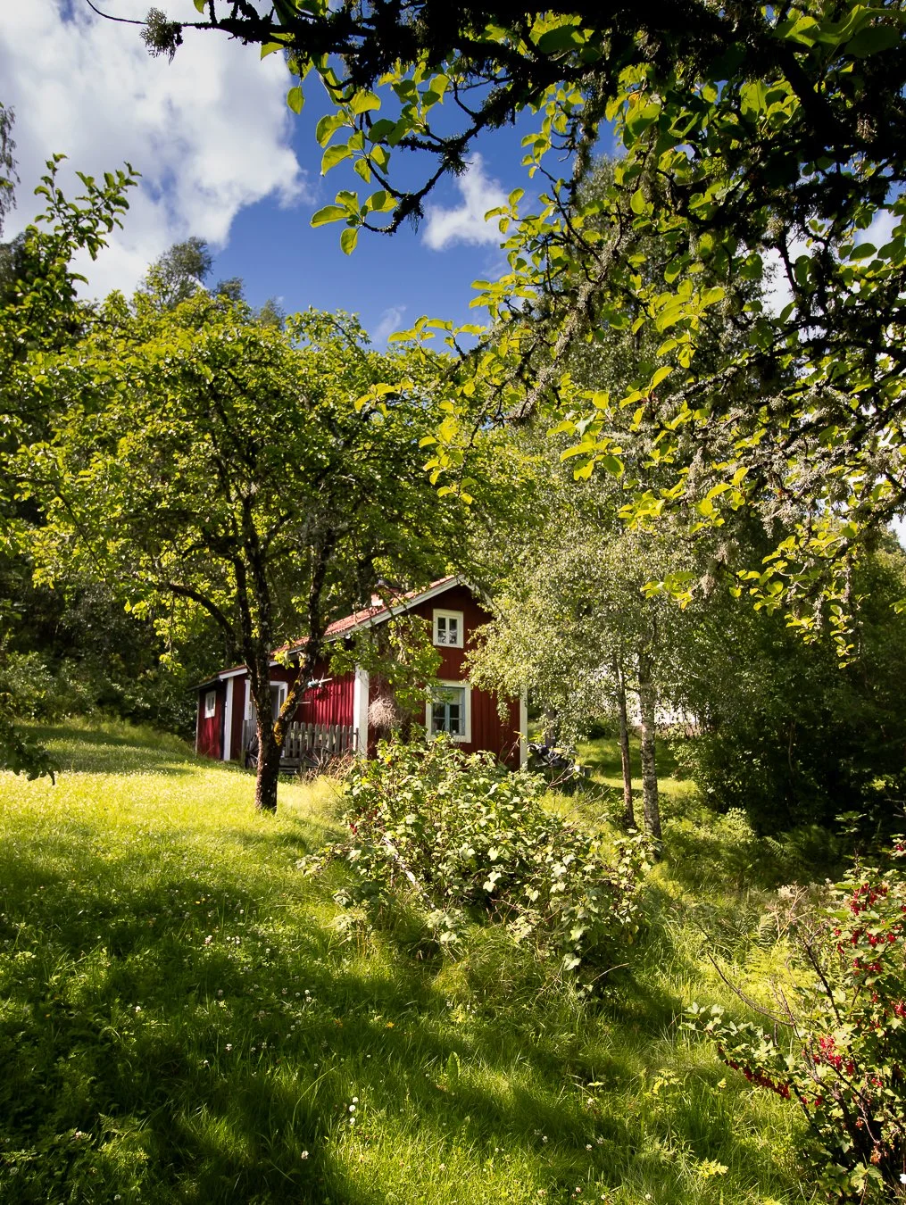 A swedish red house with white window frames surrounded by lush green trees and grass under a partly cloudy blue sky.