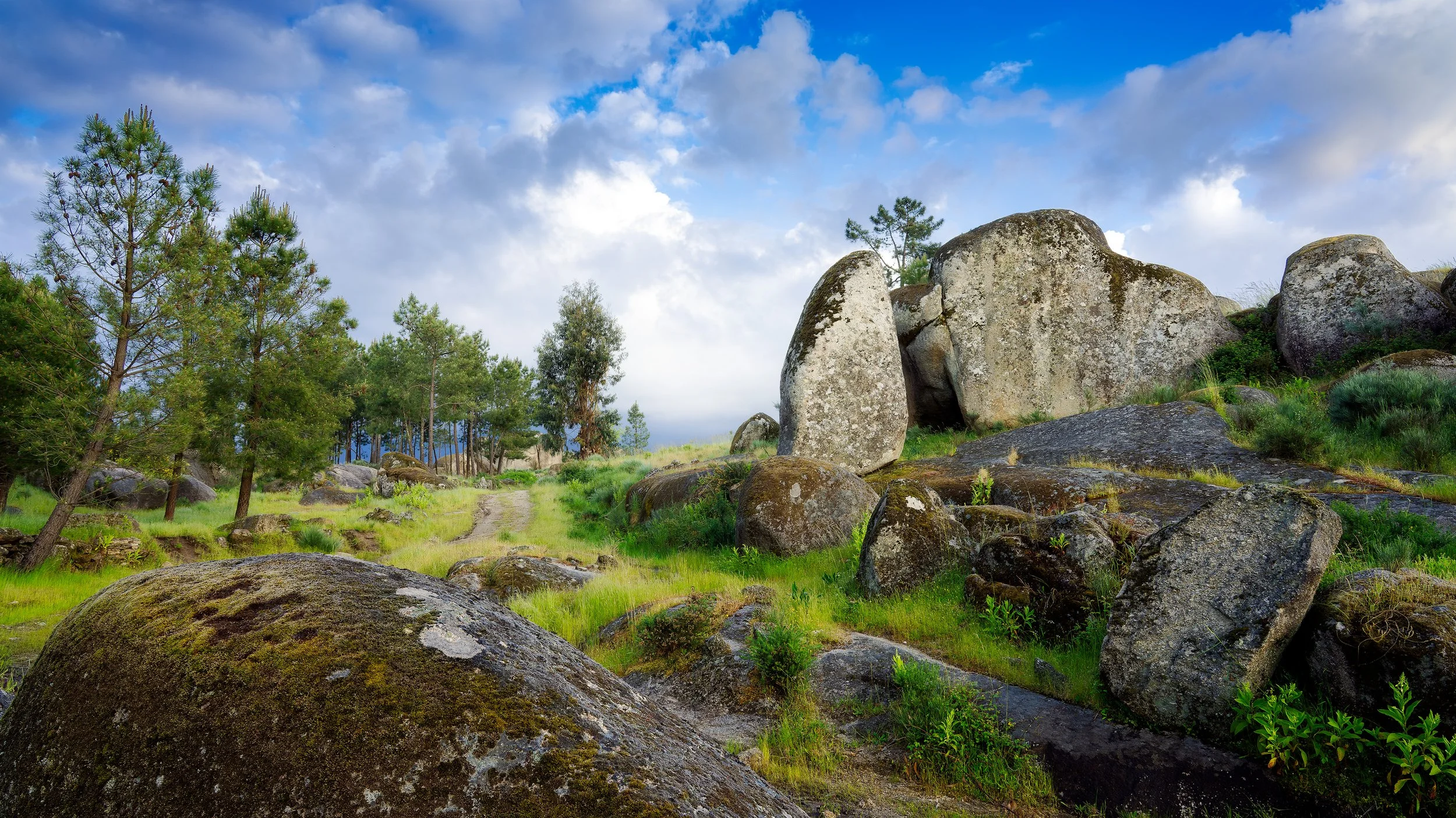 Arcozelo da Serra on the rocks
