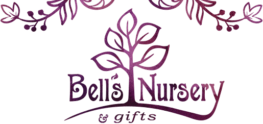 South Anchorage Market @ Bells Nursery