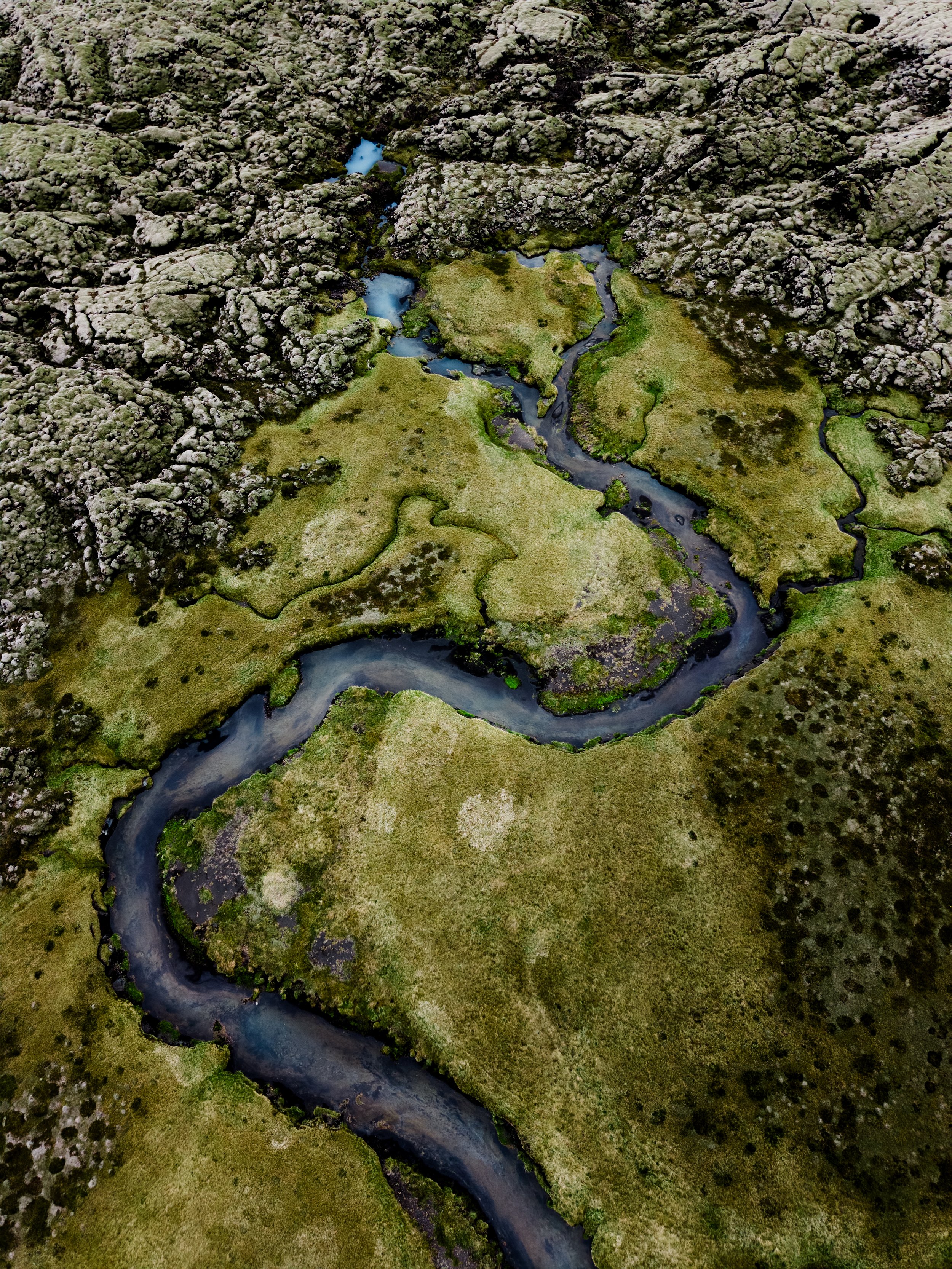 Island-2026-21.jpg