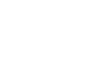 Logo with large white letter 'B' and 'V' and the word 'banco' underneath.