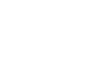 The United Nations emblem featuring a world map surrounded by olive branches.