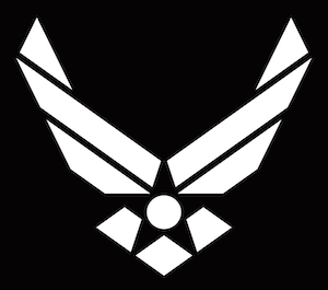 A stylized eagle with outstretched wings and a circular body on a black background.