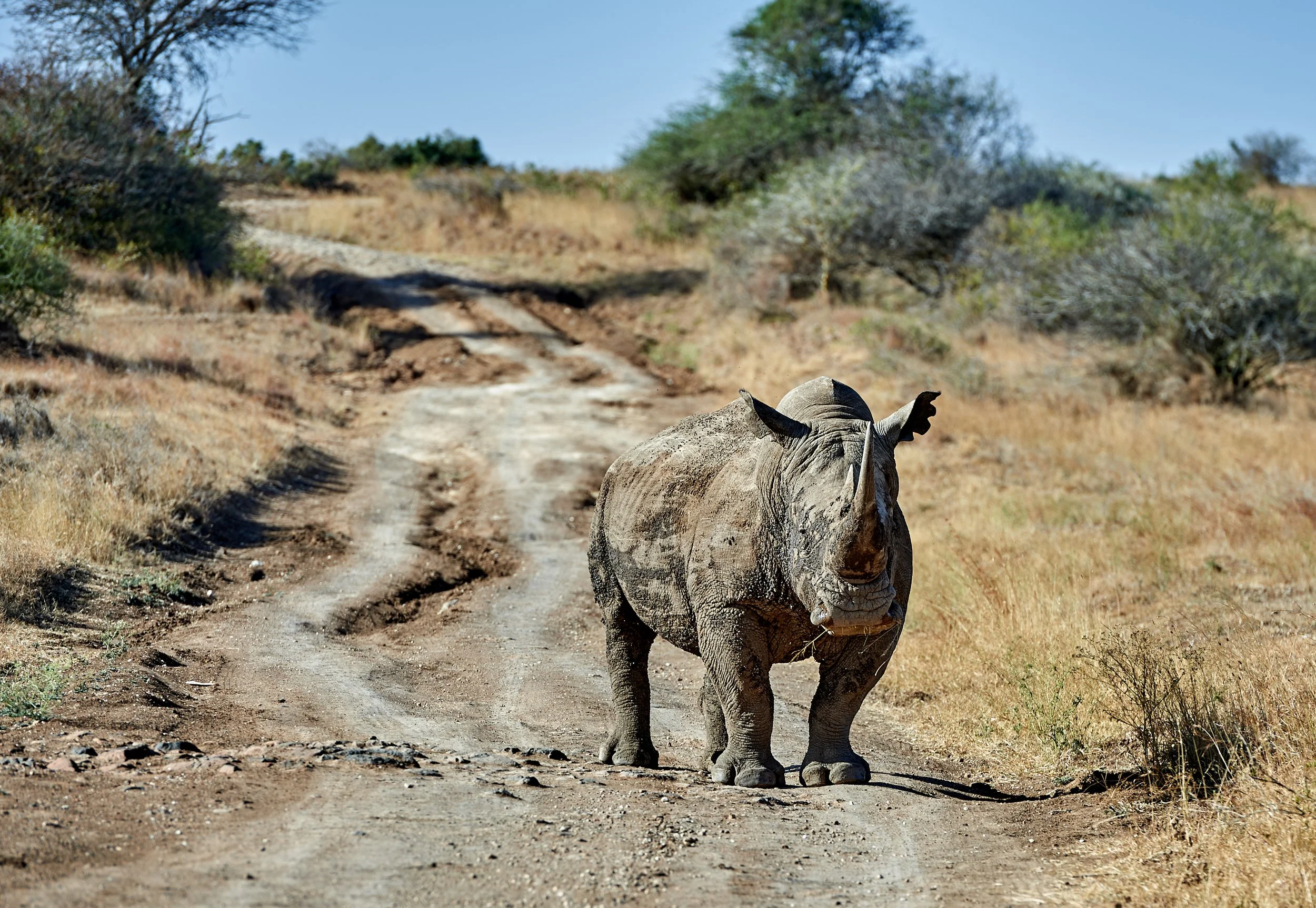 NNP 2018 - 2 - 2-0350-1-JPEG 100 Qality Full Size (sRGB).jpg