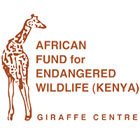 Logo for African Fund for Endangered Wildlife Kenya featuring a stylized giraffe and text