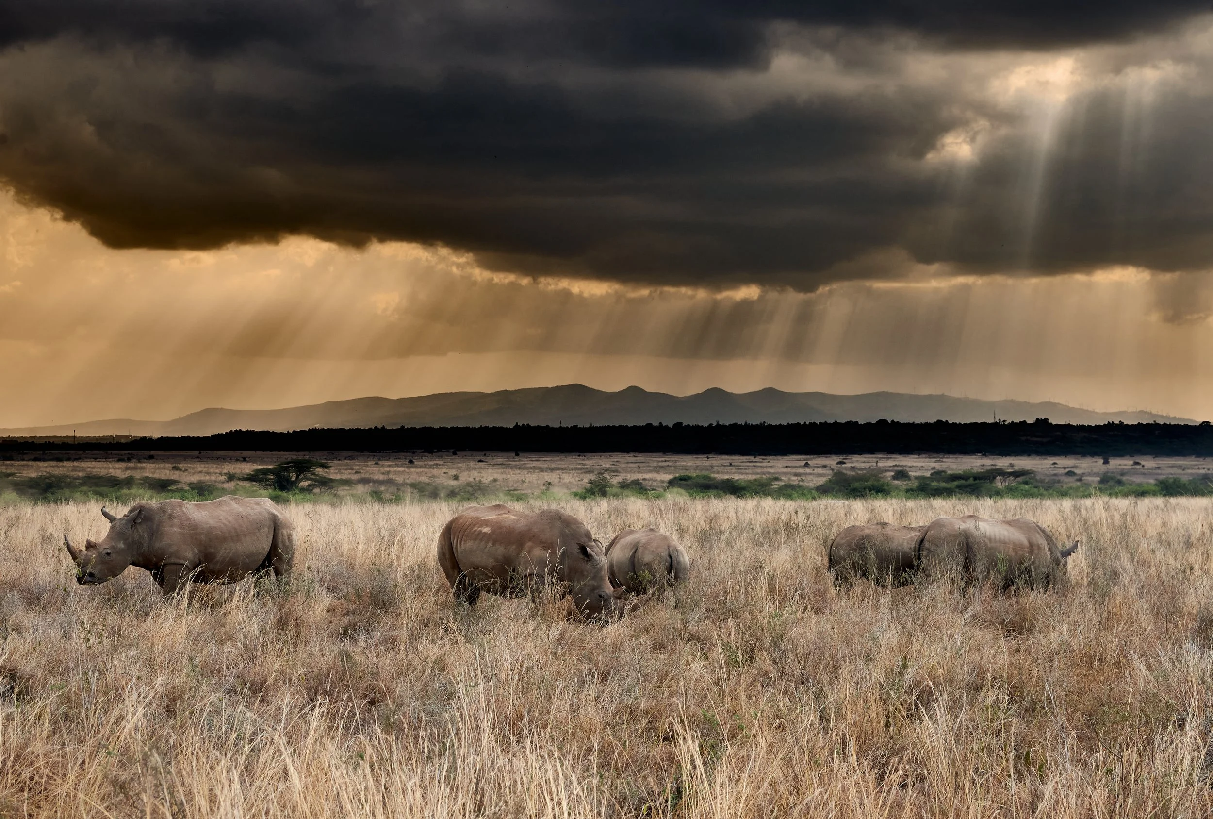 NNP 2021-10-02-0867-4-JPEG 100 Qality Full Size (sRGB) WEB-CO20.jpg